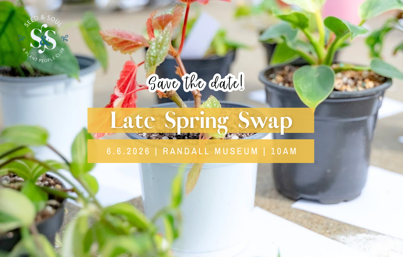 Late Spring Swap 2026 