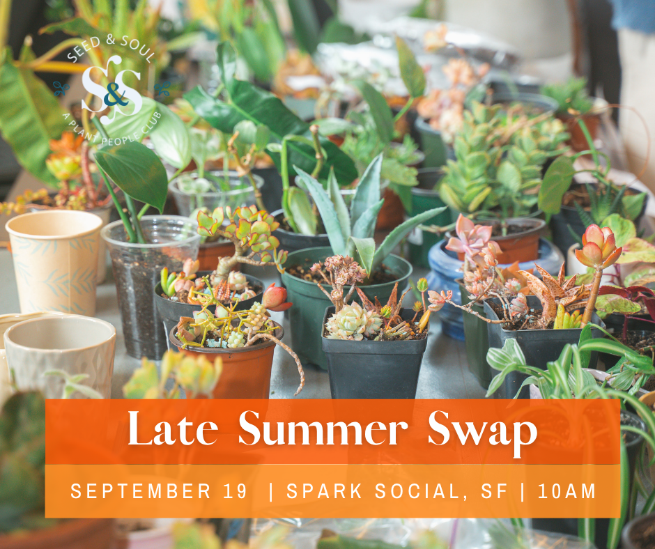 Save the Date!                      Late Summer Swap