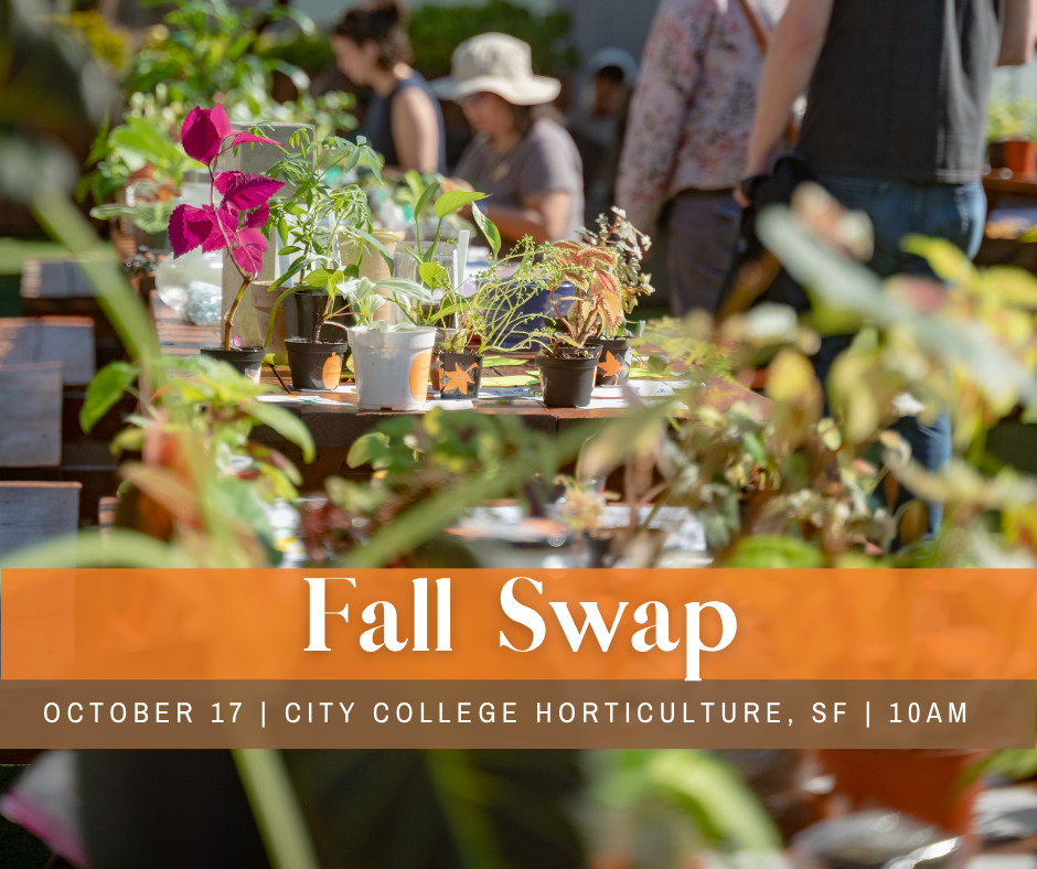 Save the Date! Fall Swap