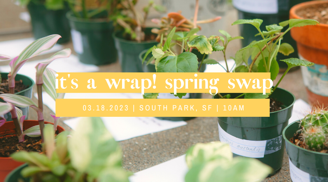 It’s a Wrap! Spring Swap 2023 — Seed and Soul Club