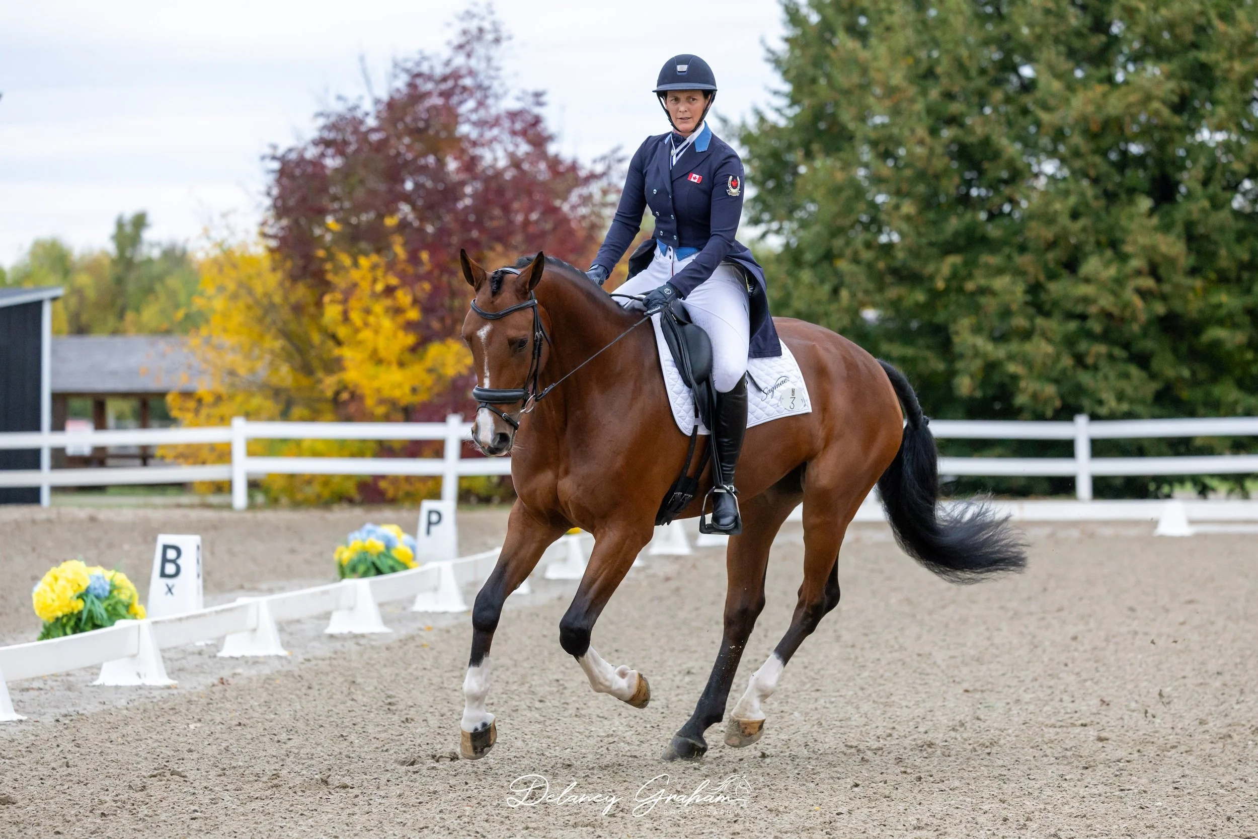 WEB Colleen Loach_Chiaro Z Excalibur_CCI2 Dressage_1.jpg