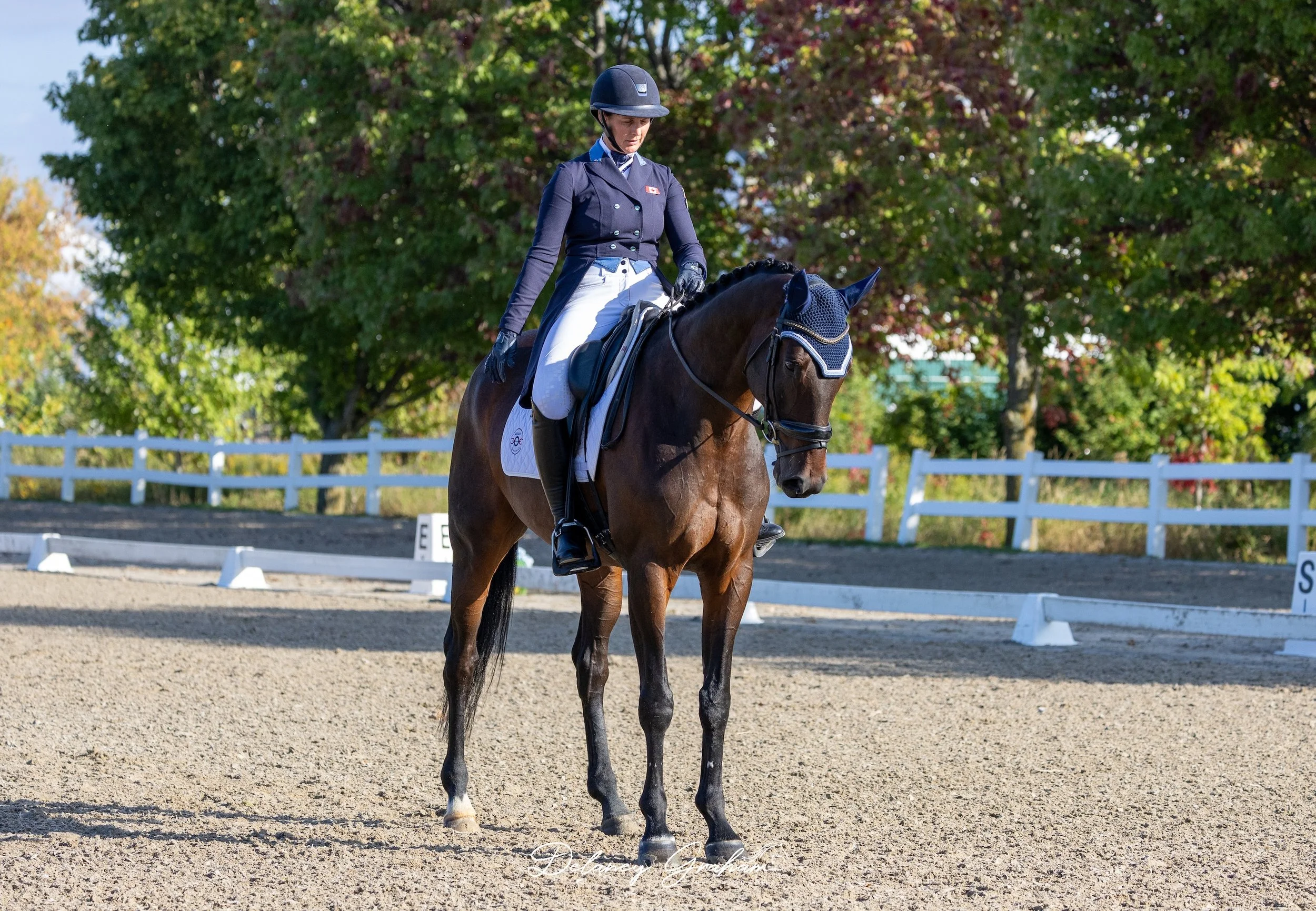 WEB Colleen Loach_Canada Post_CCI1 Dressage_2.jpg