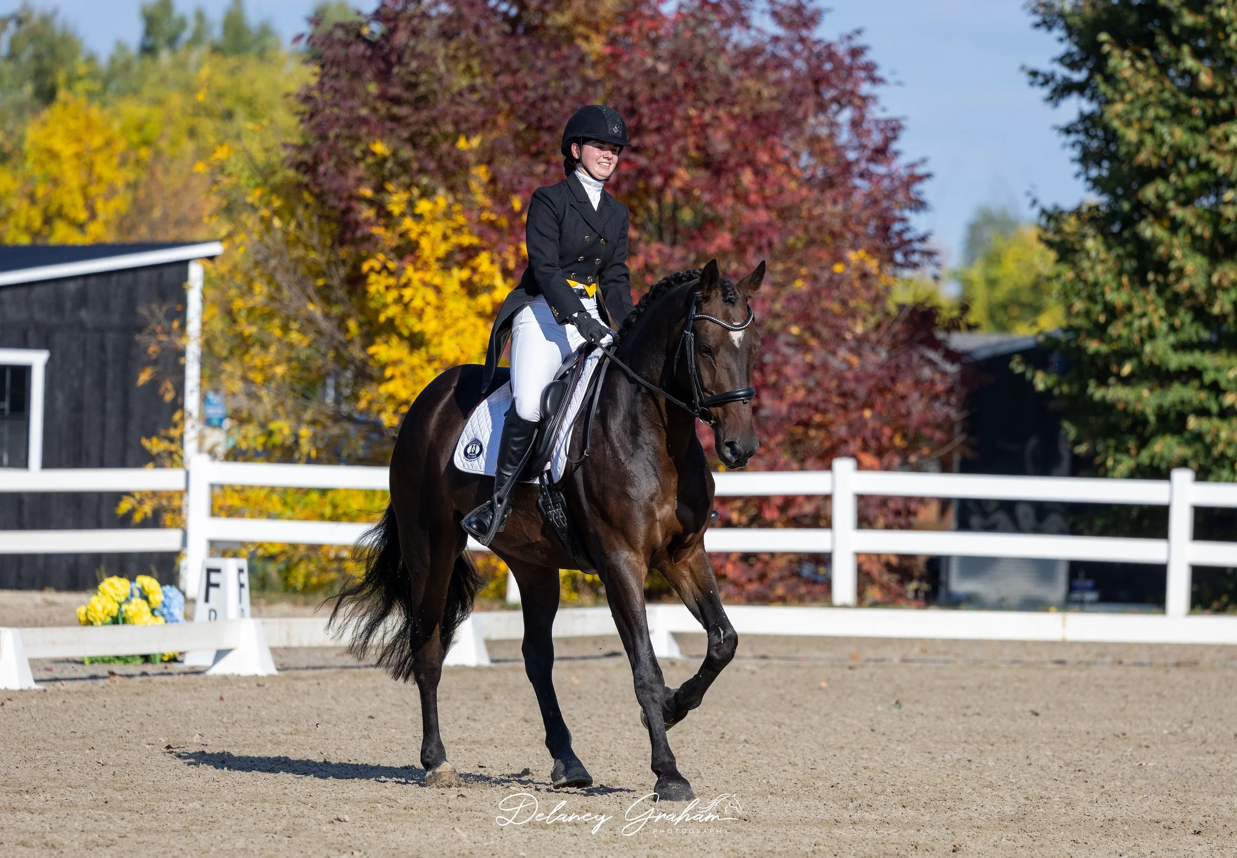 WEB Elizabeth Brousseau_Nico_CCI1 Dressage_3.jpg