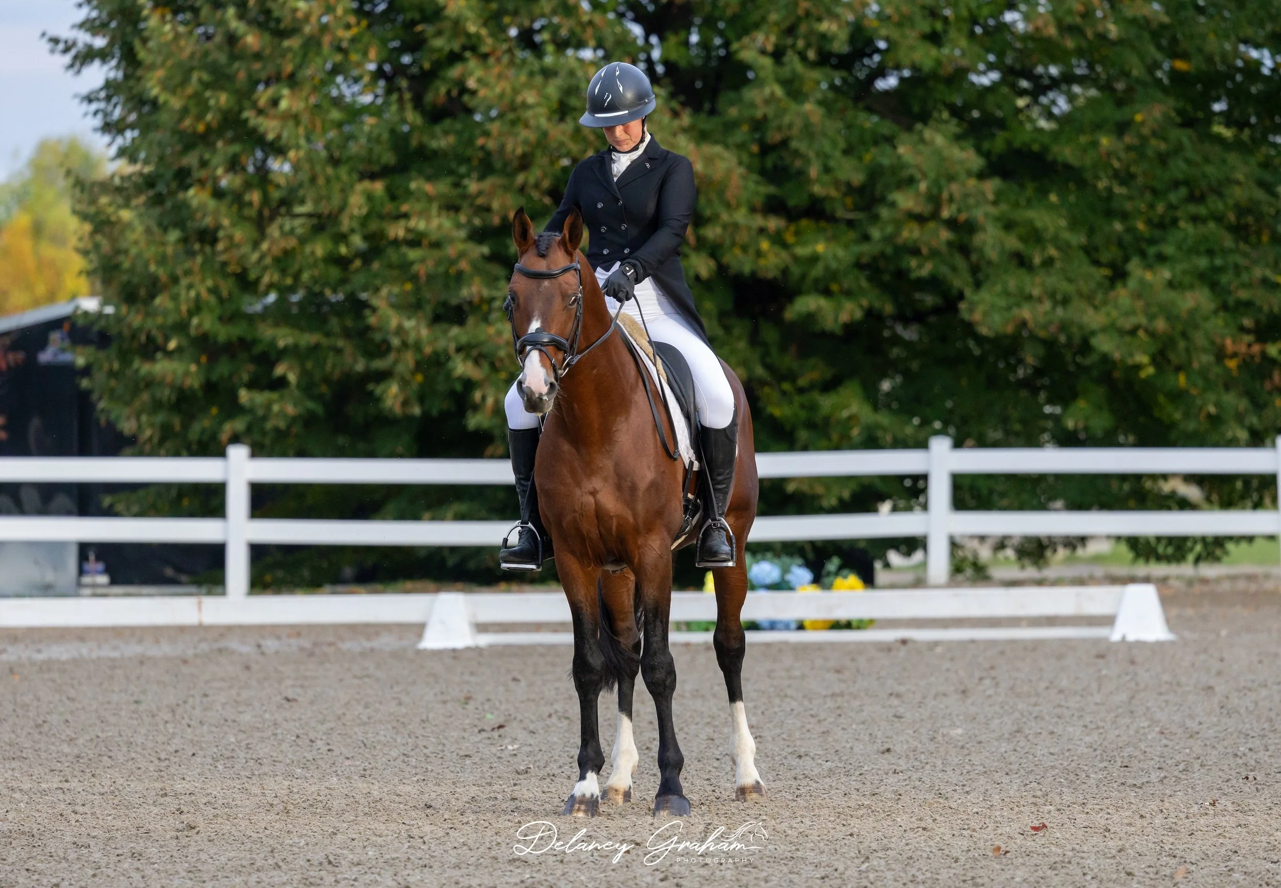WEB Lindsay Beer-Drury_Catherston Tick Tock_CCI2 Dressage_2.jpg