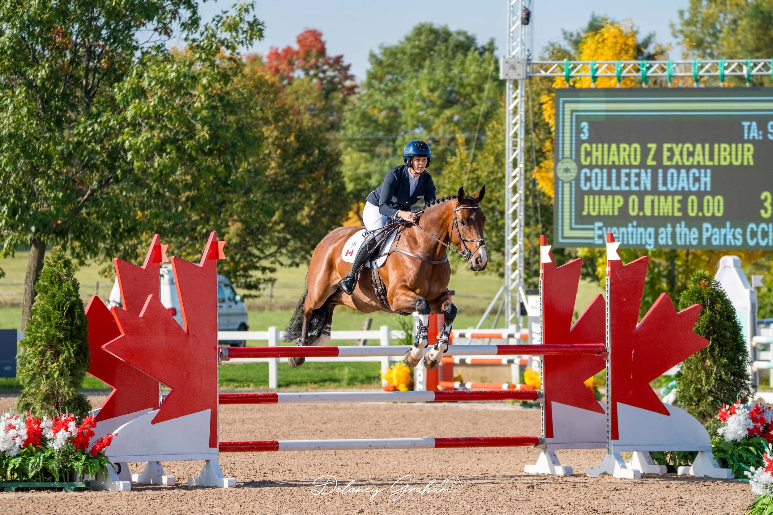 WEB Colleen Loach_Chiaro Z Excalibur_CCI2 Stadium_1.jpg