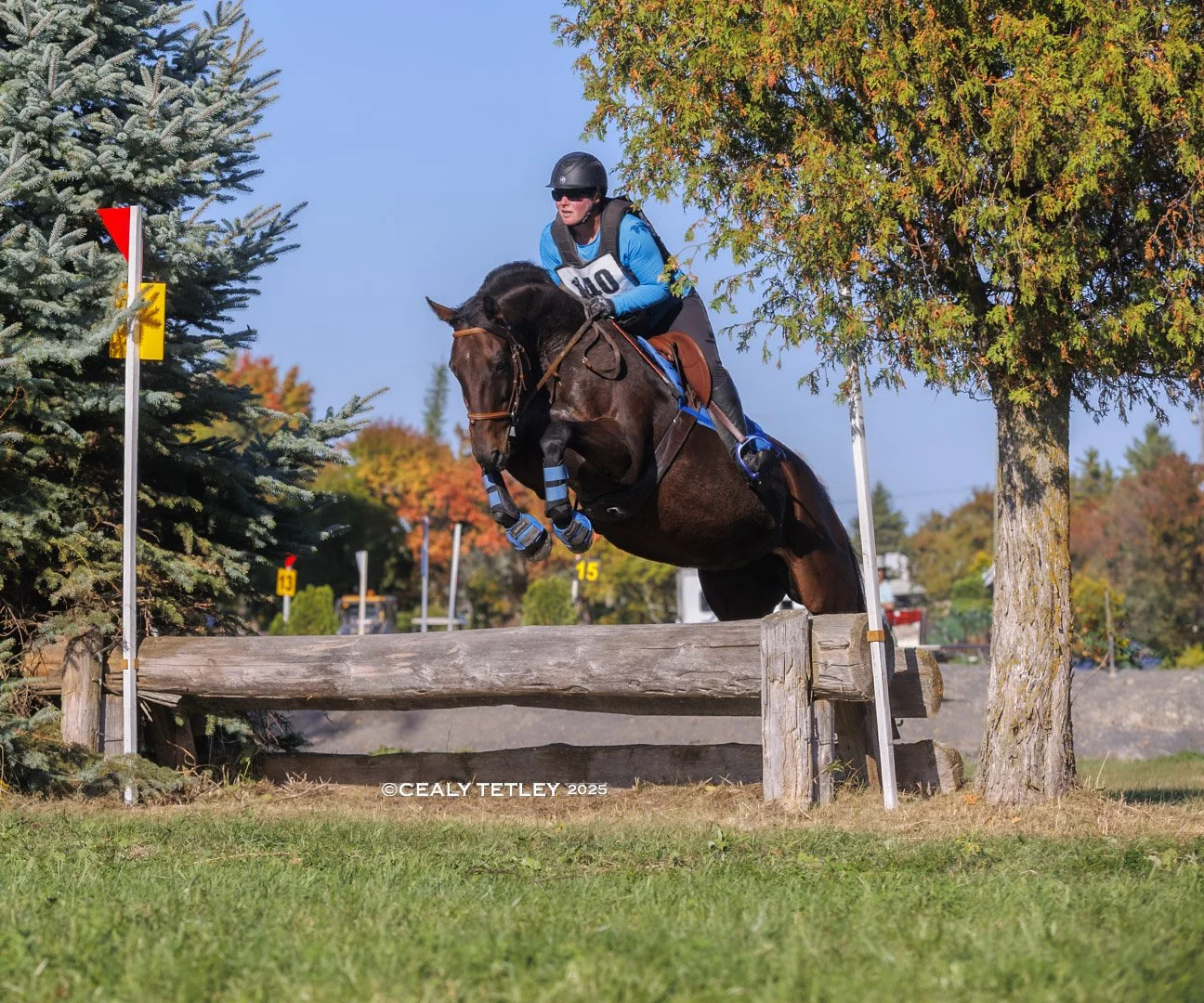 2026 Eventing Season at Wesley Clover Parks: Building on a Breakthrough FEI Year
