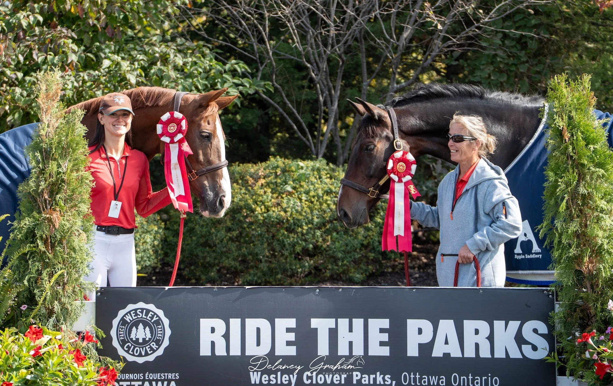 Awards Horses.jpg