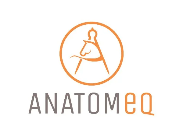Anatomeq_Web.jpg