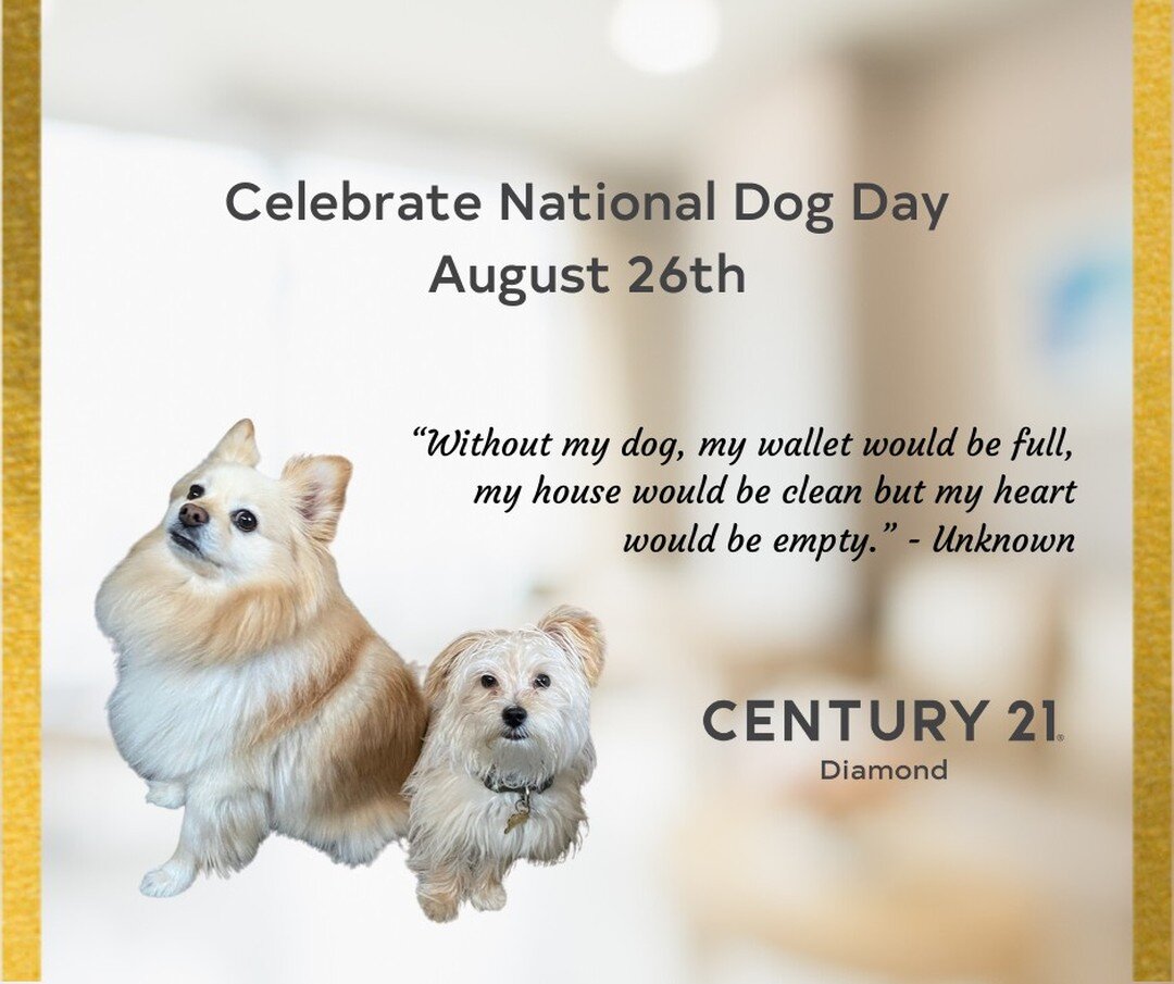 August 26th is all about about our furry friends! Let's give them extra love!🥰🐹💕
#nationaldogday #internationaldogday