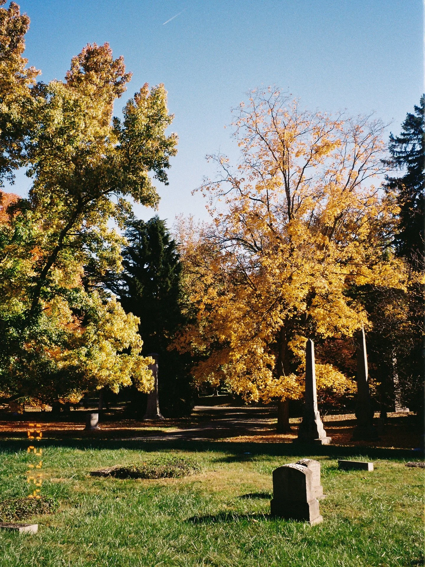 It feels so fall outside today. Here are some pics I took in Spring Grove last year to celebrate.