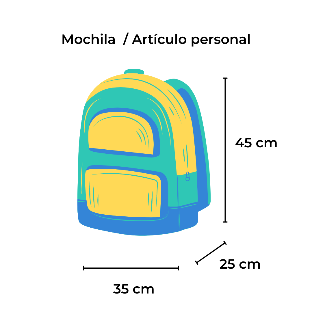 Articulo Personal Puedo Llevar Un Bolso En El Avion Equipaje De