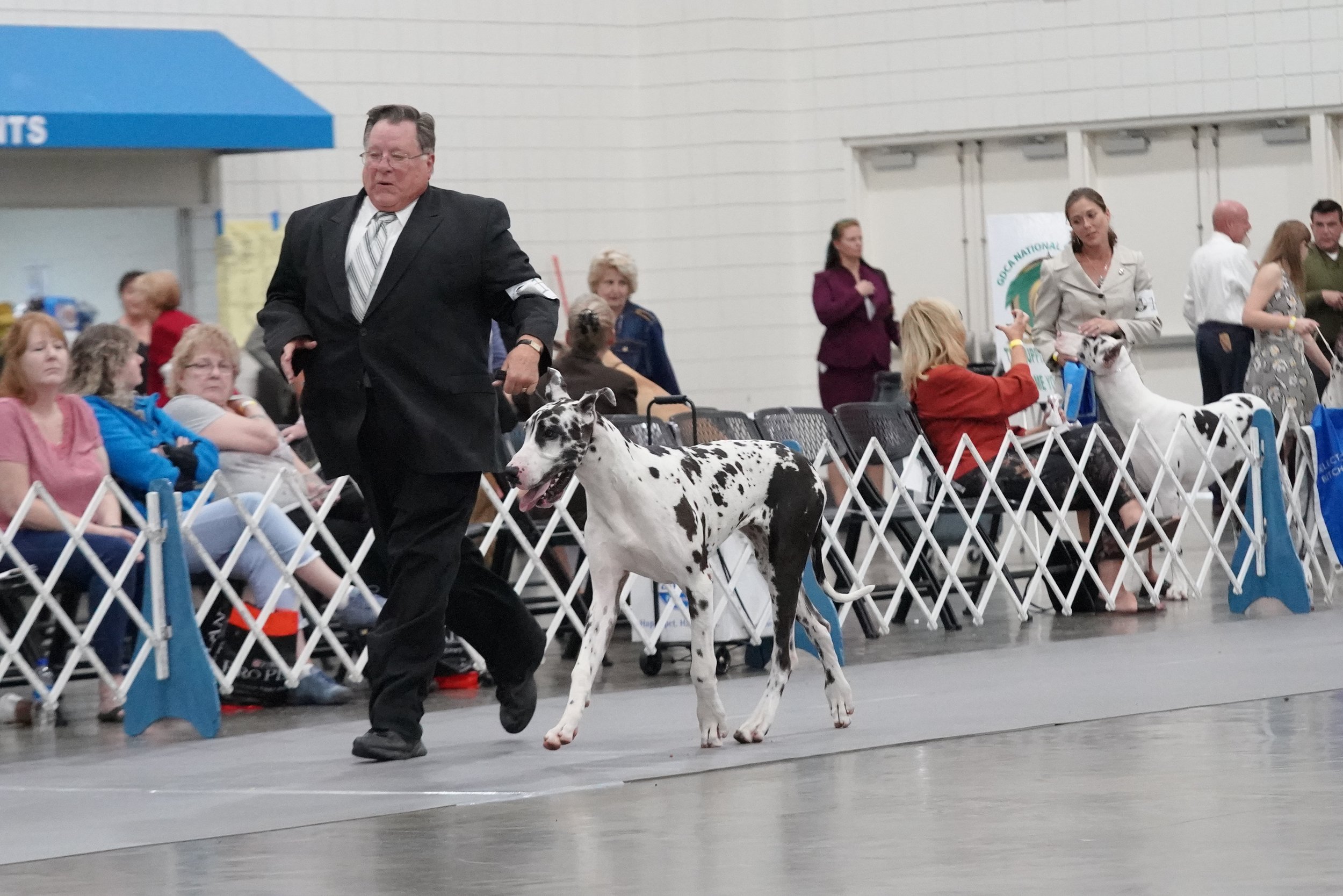 Darby_PE_08382-darby.JPG