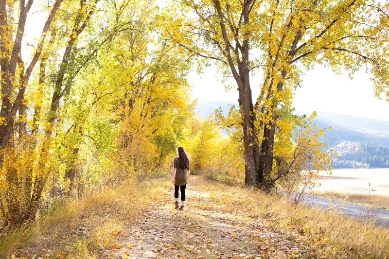 Person walking on a dirt path surrounded by autumn trees with yellow leaves.