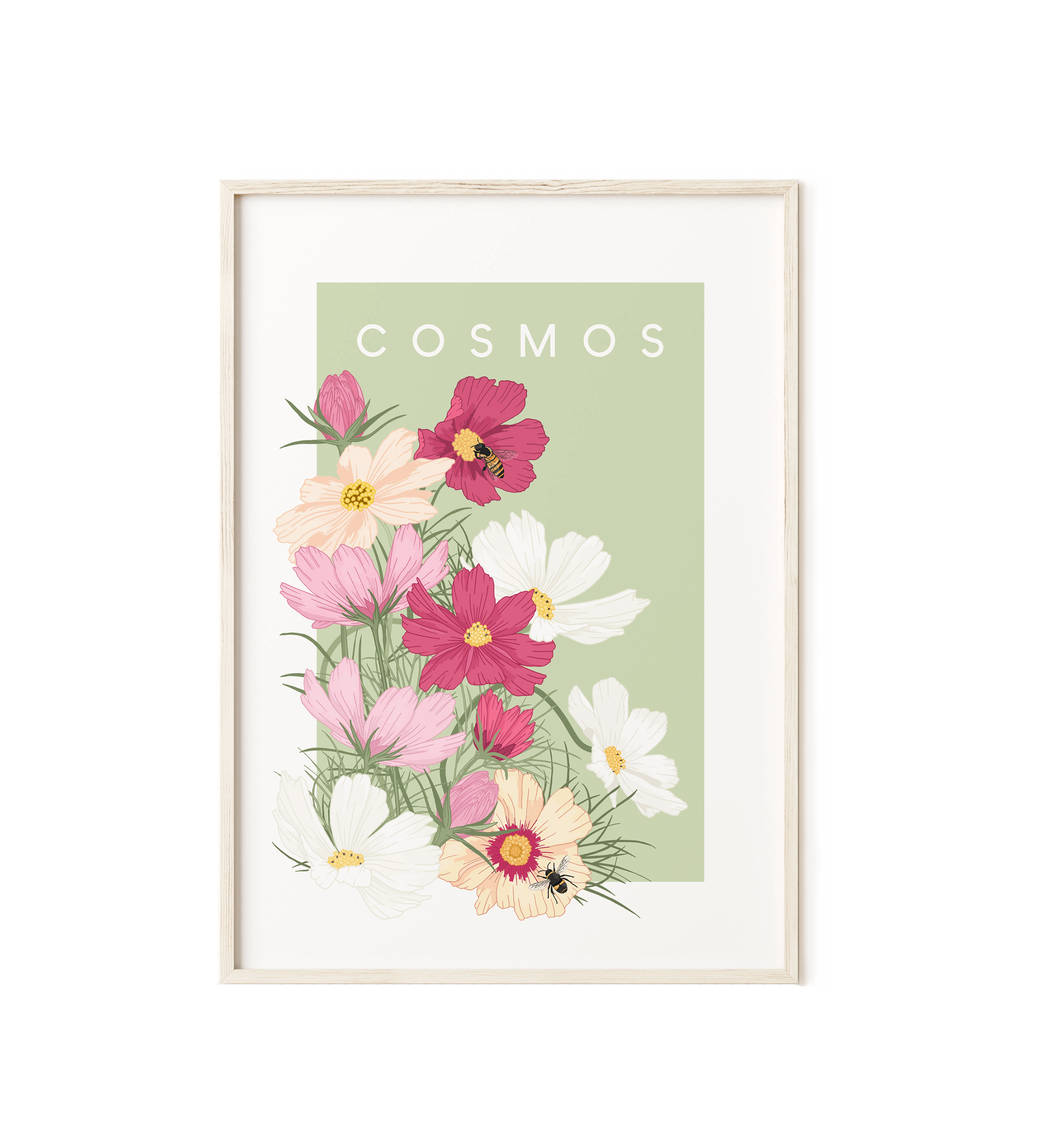 Cosmos Print