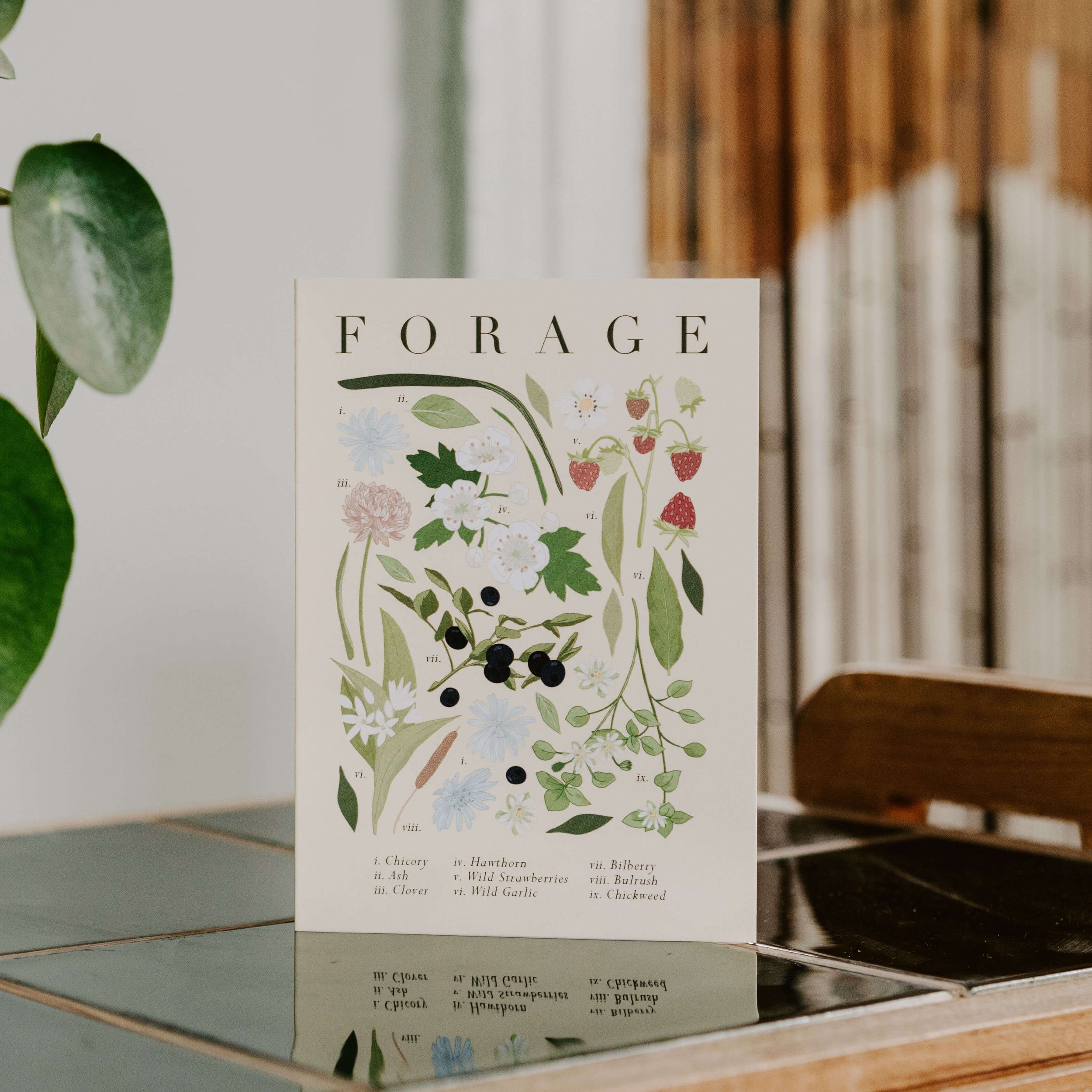 A study style illustrated nature card, inspired by foraging in Spring and Summer here in the UK. Includes hand drawn berries and wild flowers on a pale cream background, perfect for any occasion.