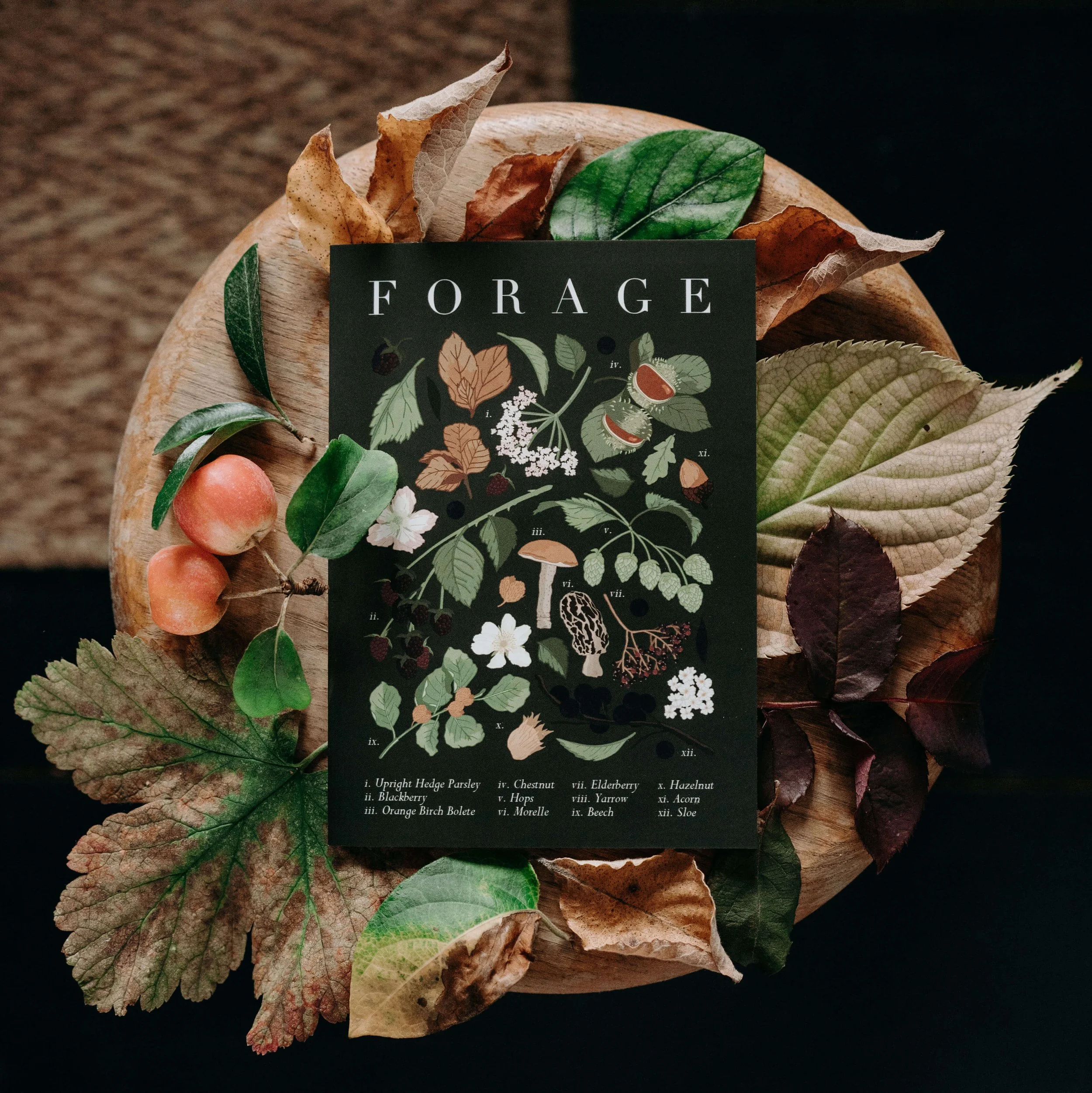 Wildwood-Paper-Foraging-Autumnal-Forest-Green-Everyday-Greeting-Card.jpg