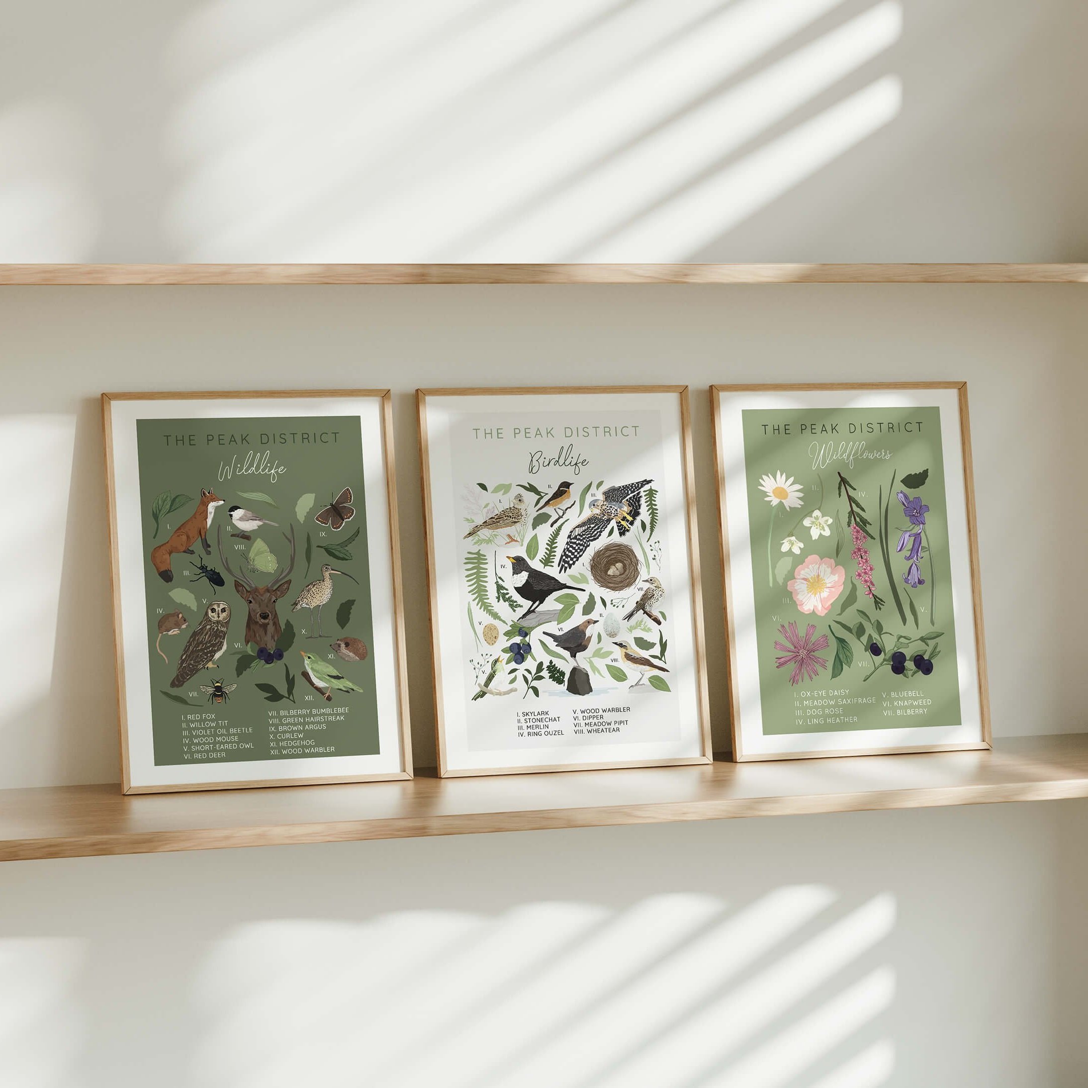 The-Peak-District-Flora-And-Fauna-Art-Print-Collection.jpg
