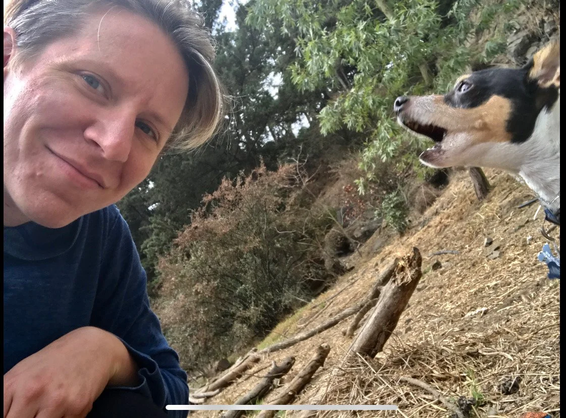 When life (or your pet) barks in your face