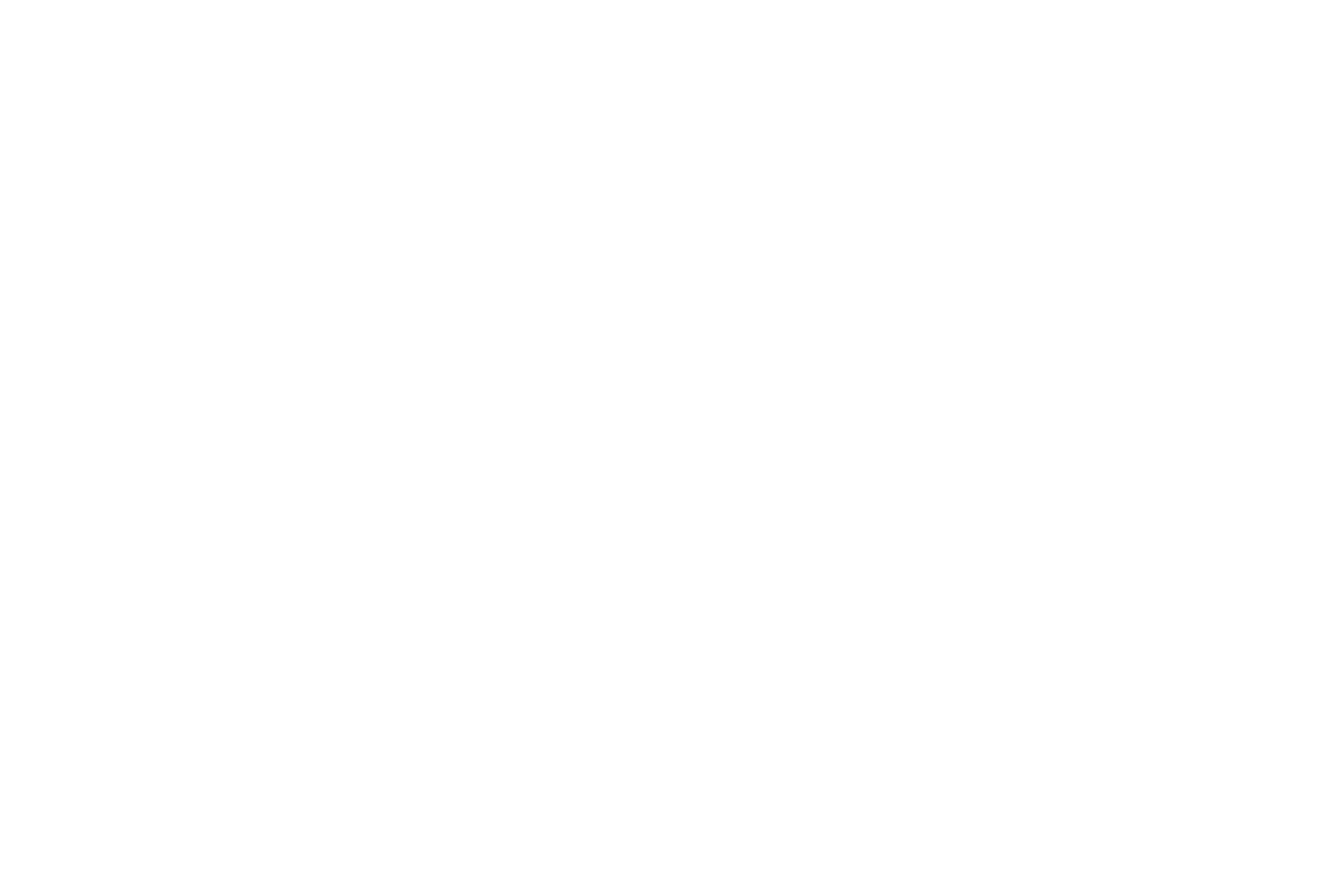 Twelve Spies