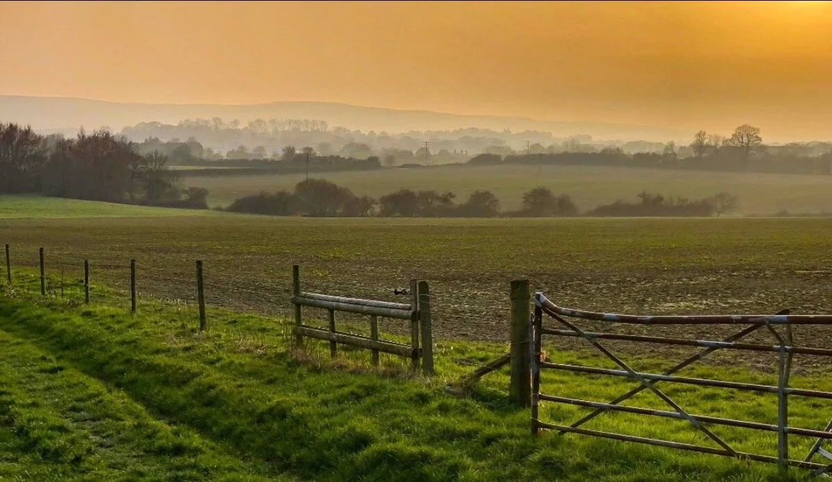 Make your voice heard!