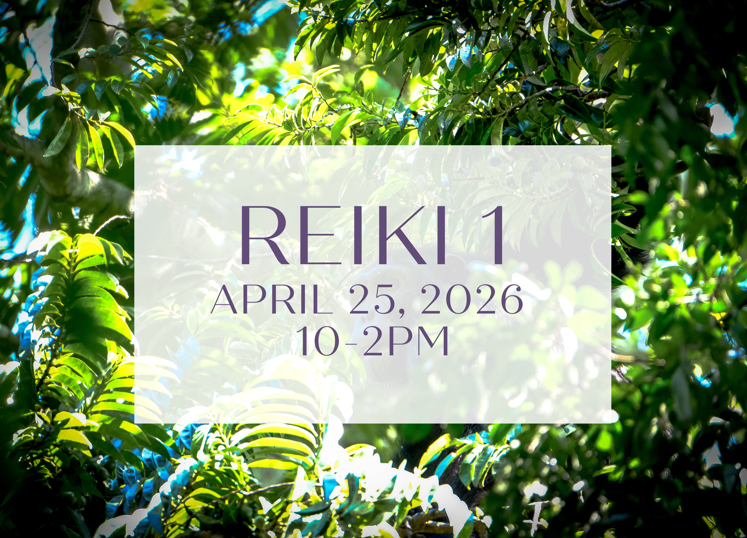 Reiki 1 