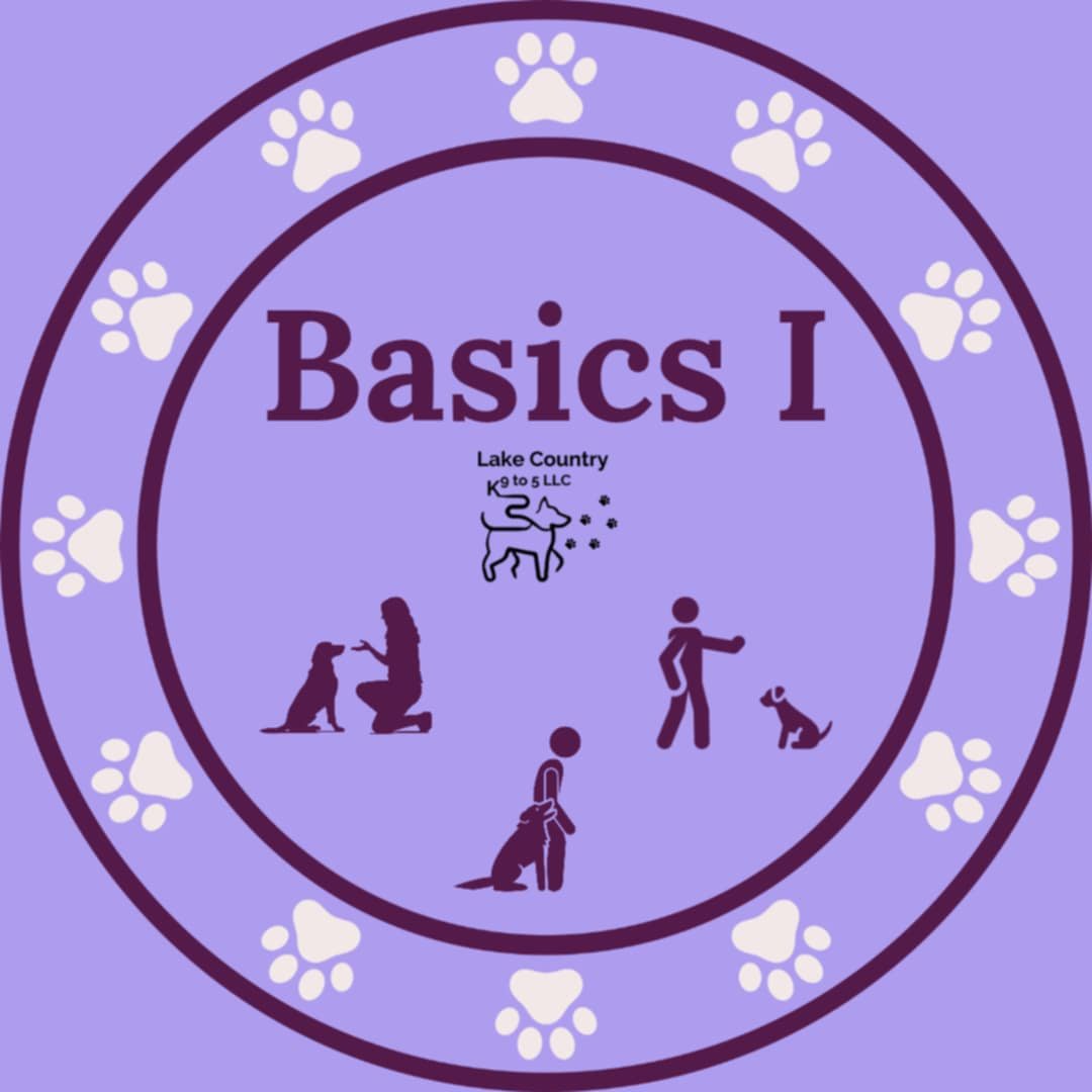 Basics 1 Starting July 21