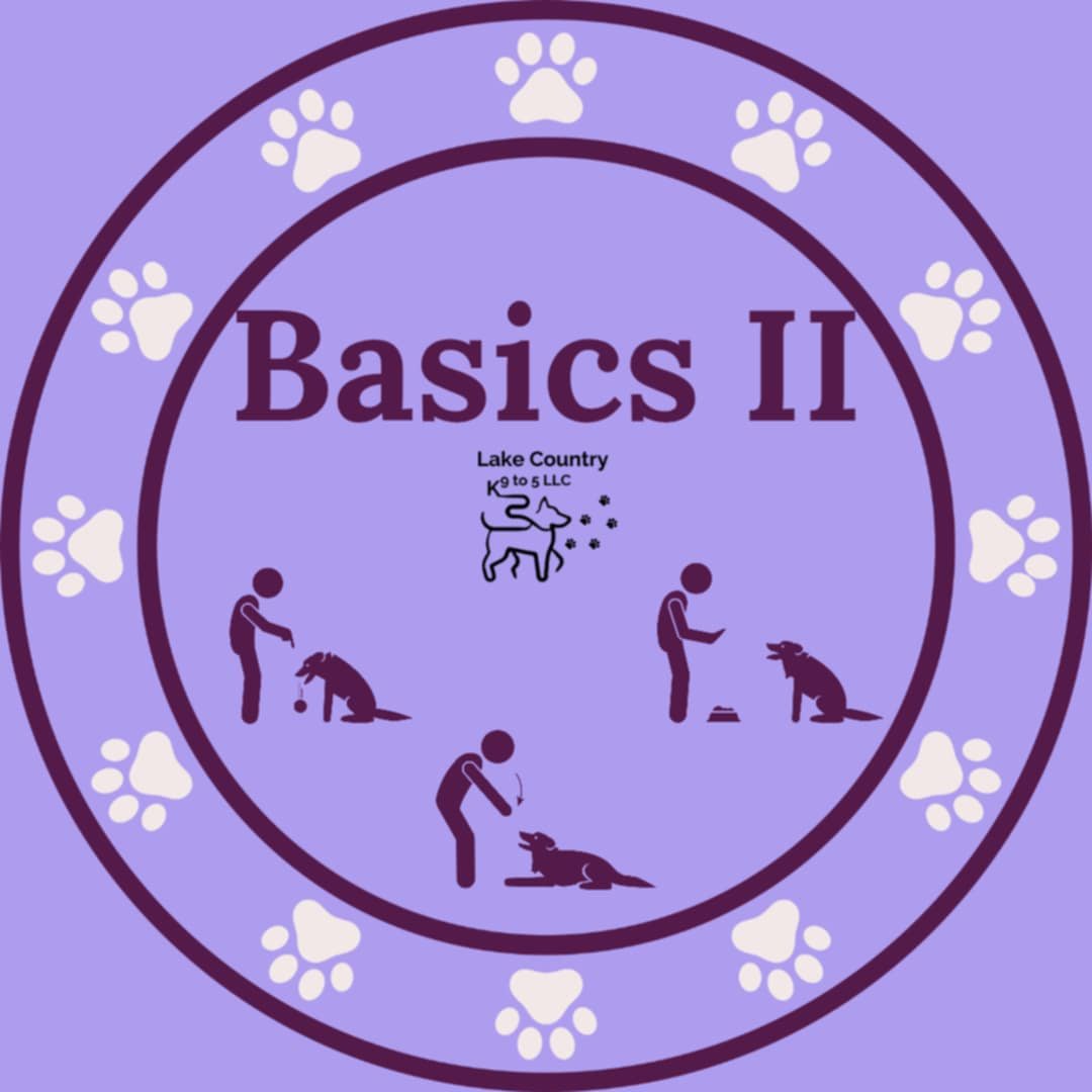 Intermediate Starting August 30th 2025