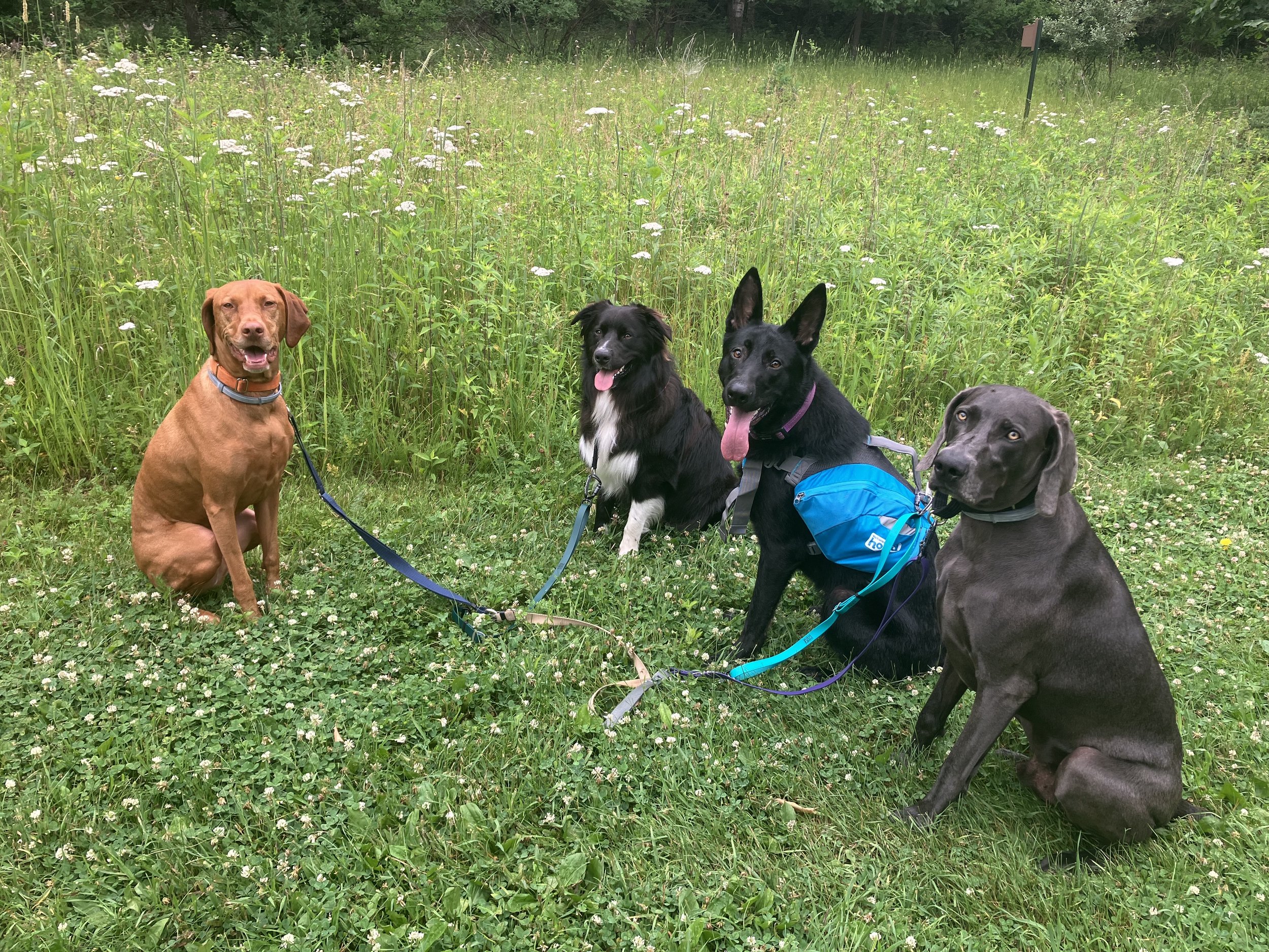 Hours, Rates and Policies