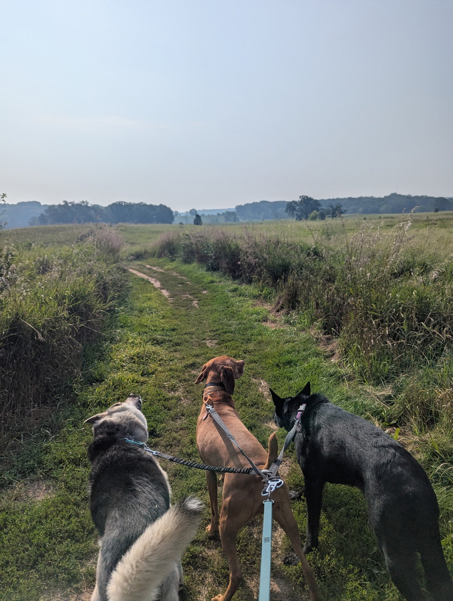 1 hour Group Hike 🐾