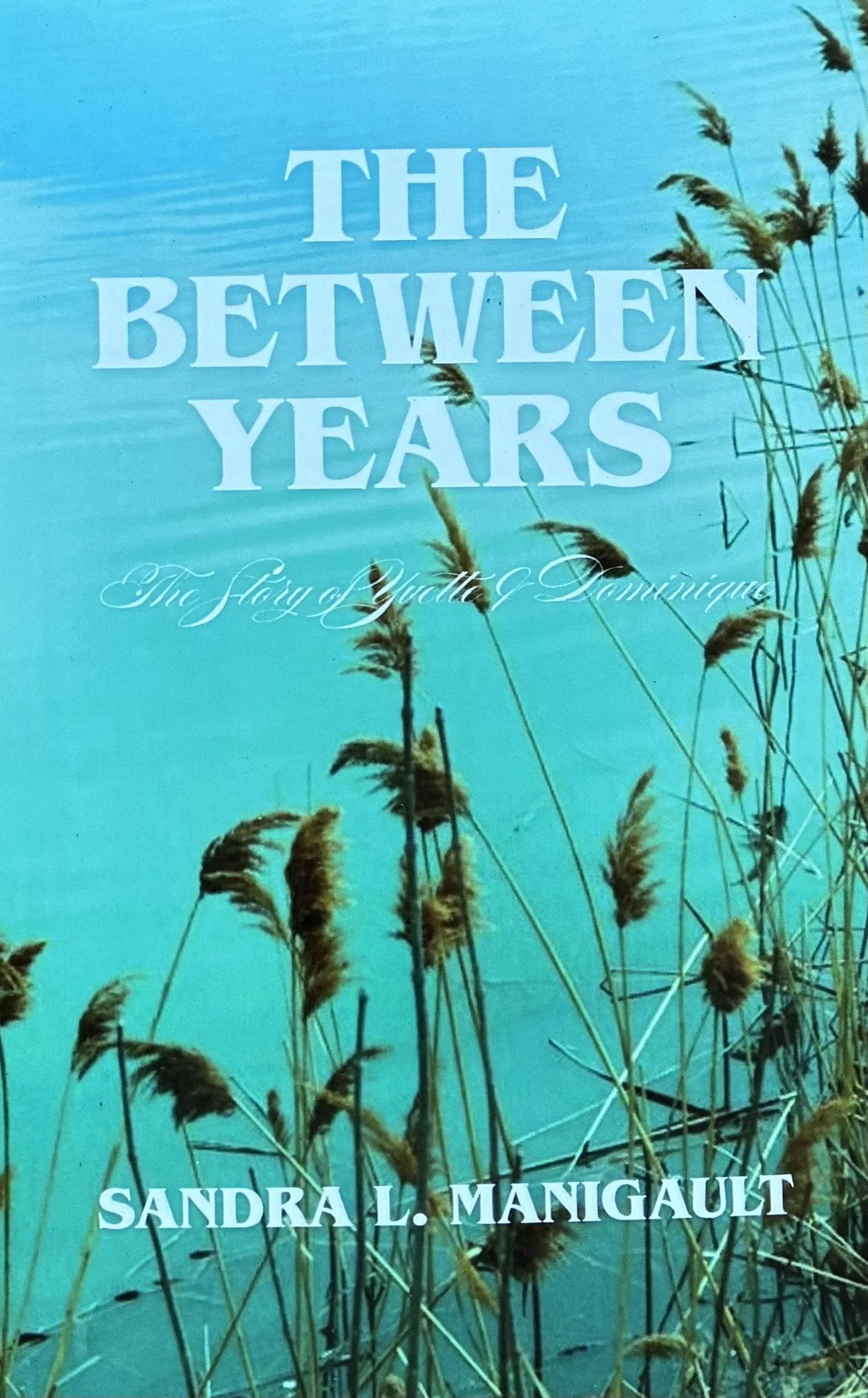 Overview - Next Book