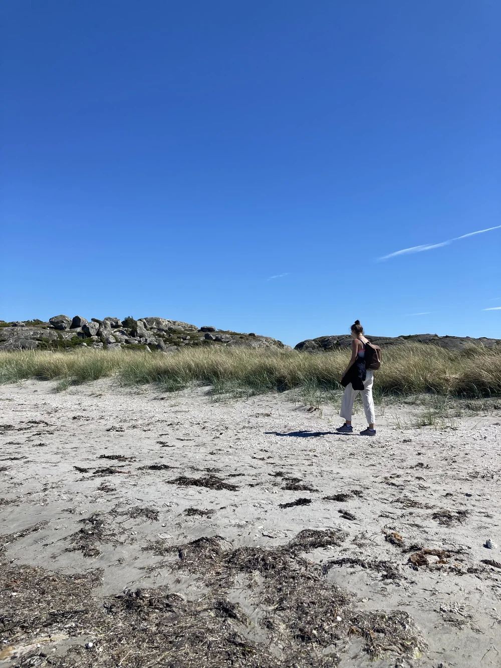 IMG_9078.jpeg