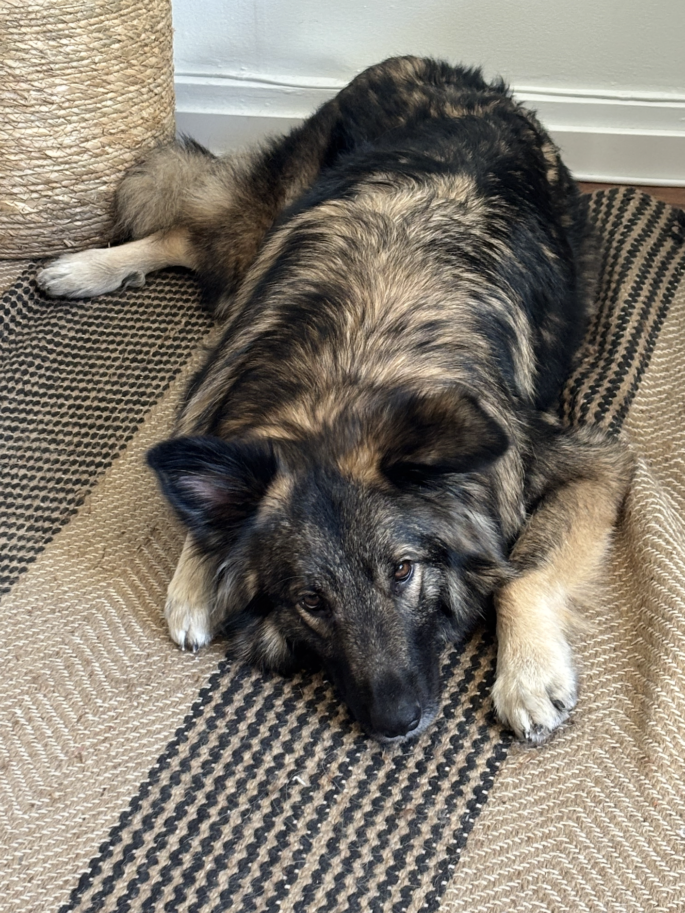 Snímek obrazovky 2026-01-08 v 10.06.37.png