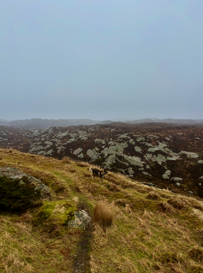 Snímek obrazovky 2026-01-08 v 10.09.18.png