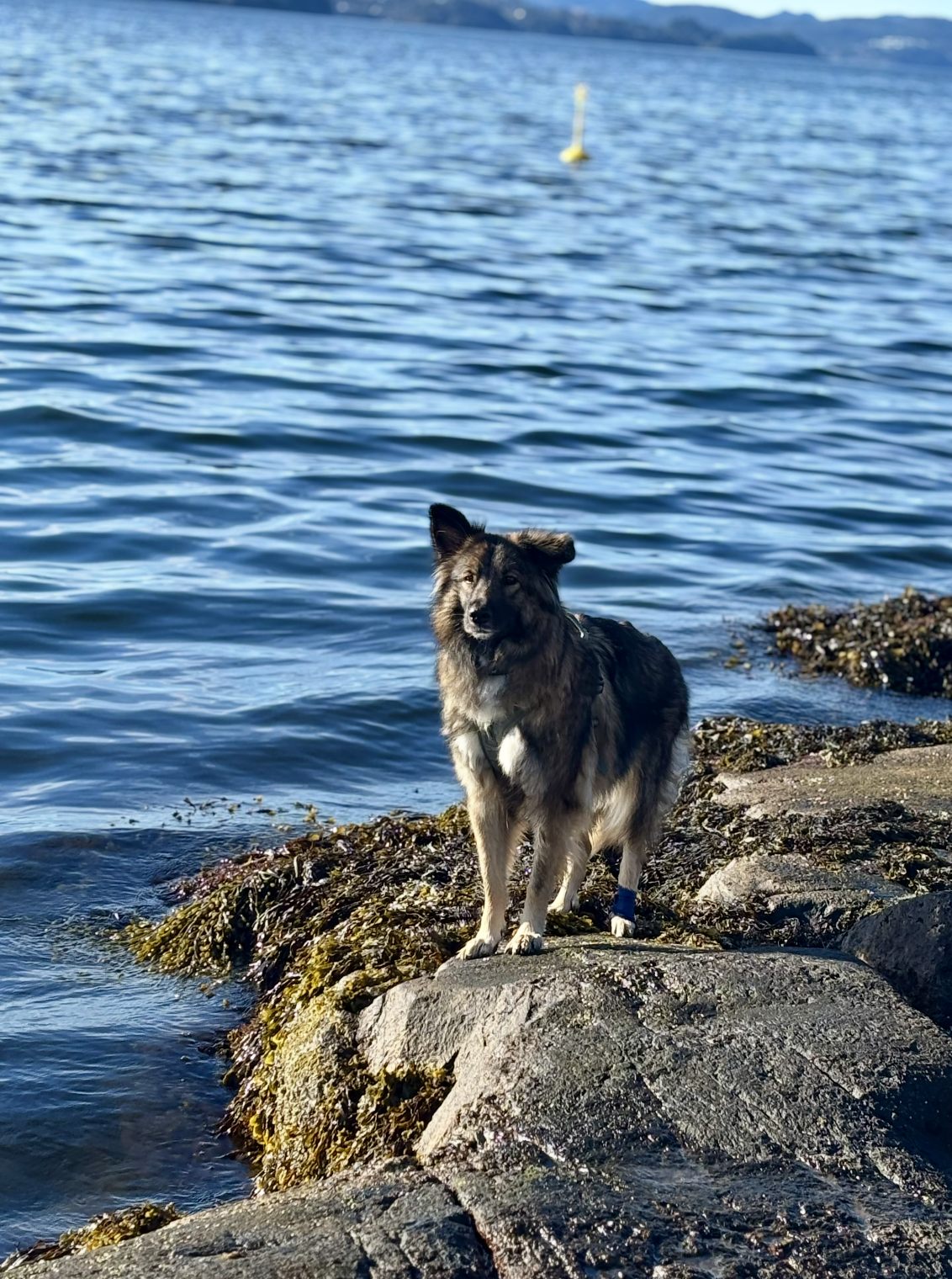 Snímek obrazovky 2026-01-08 v 10.49.33.png