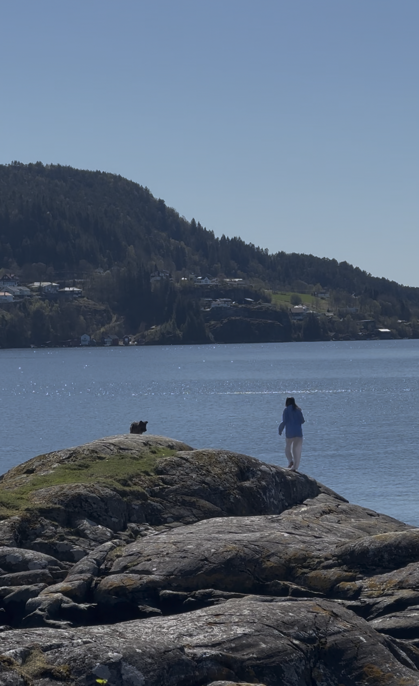 Snímek obrazovky 2026-01-08 v 10.50.20.png