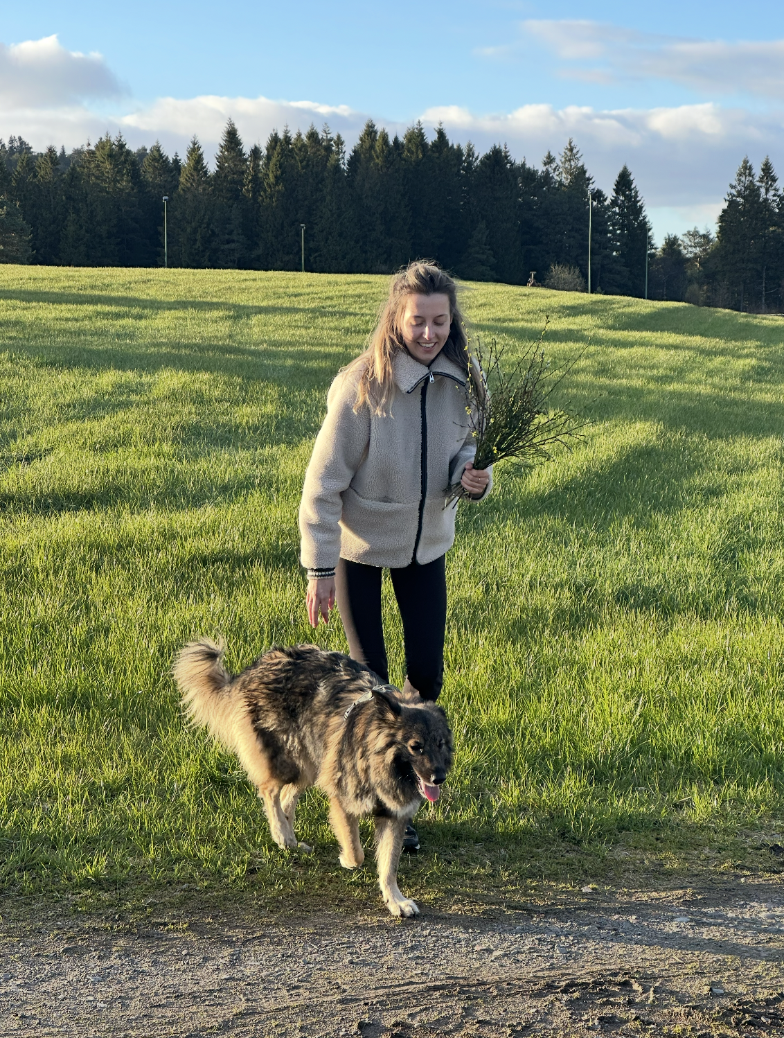 Snímek obrazovky 2026-01-08 v 10.50.26.png