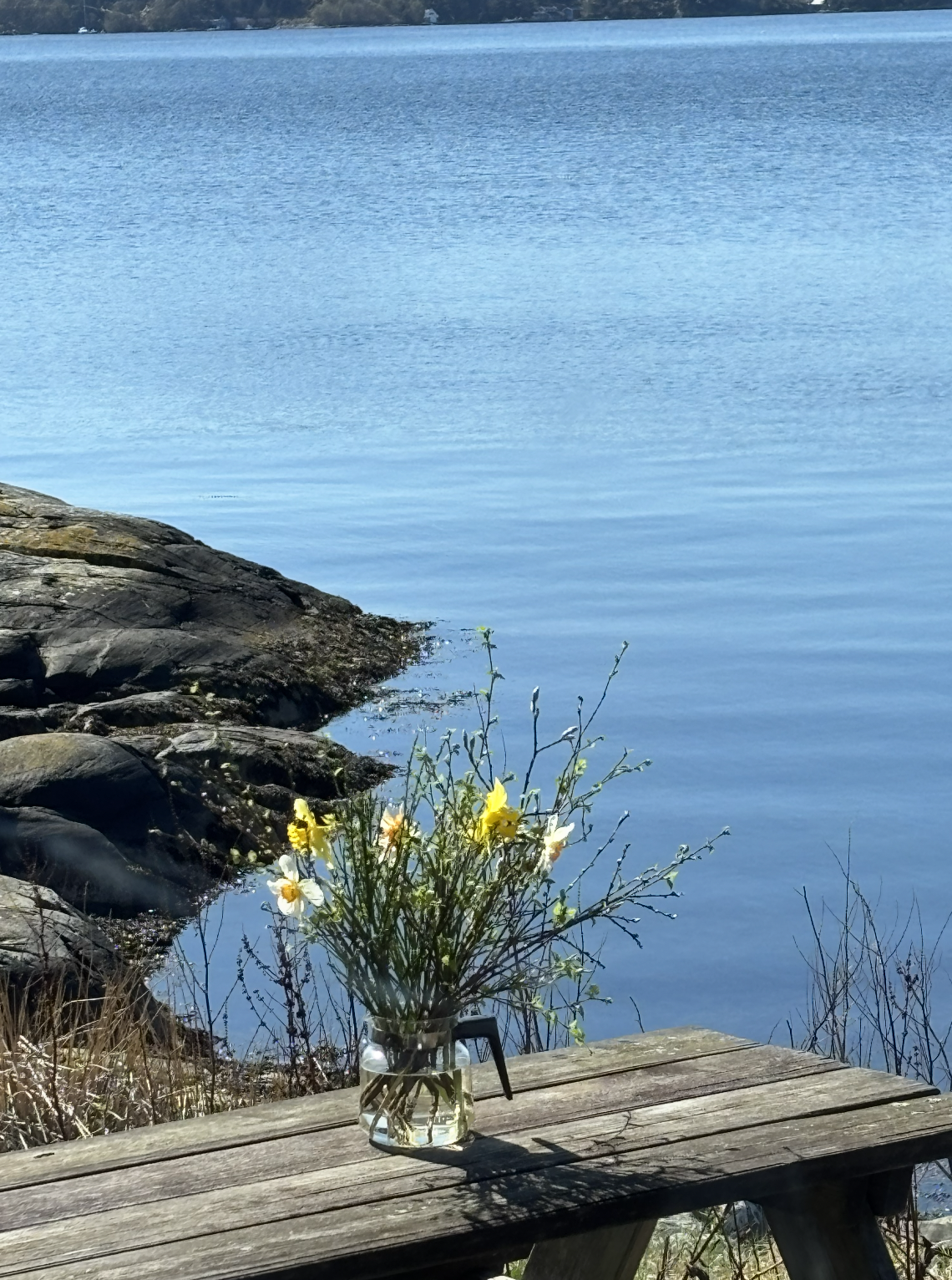 Snímek obrazovky 2026-01-08 v 10.53.55.png