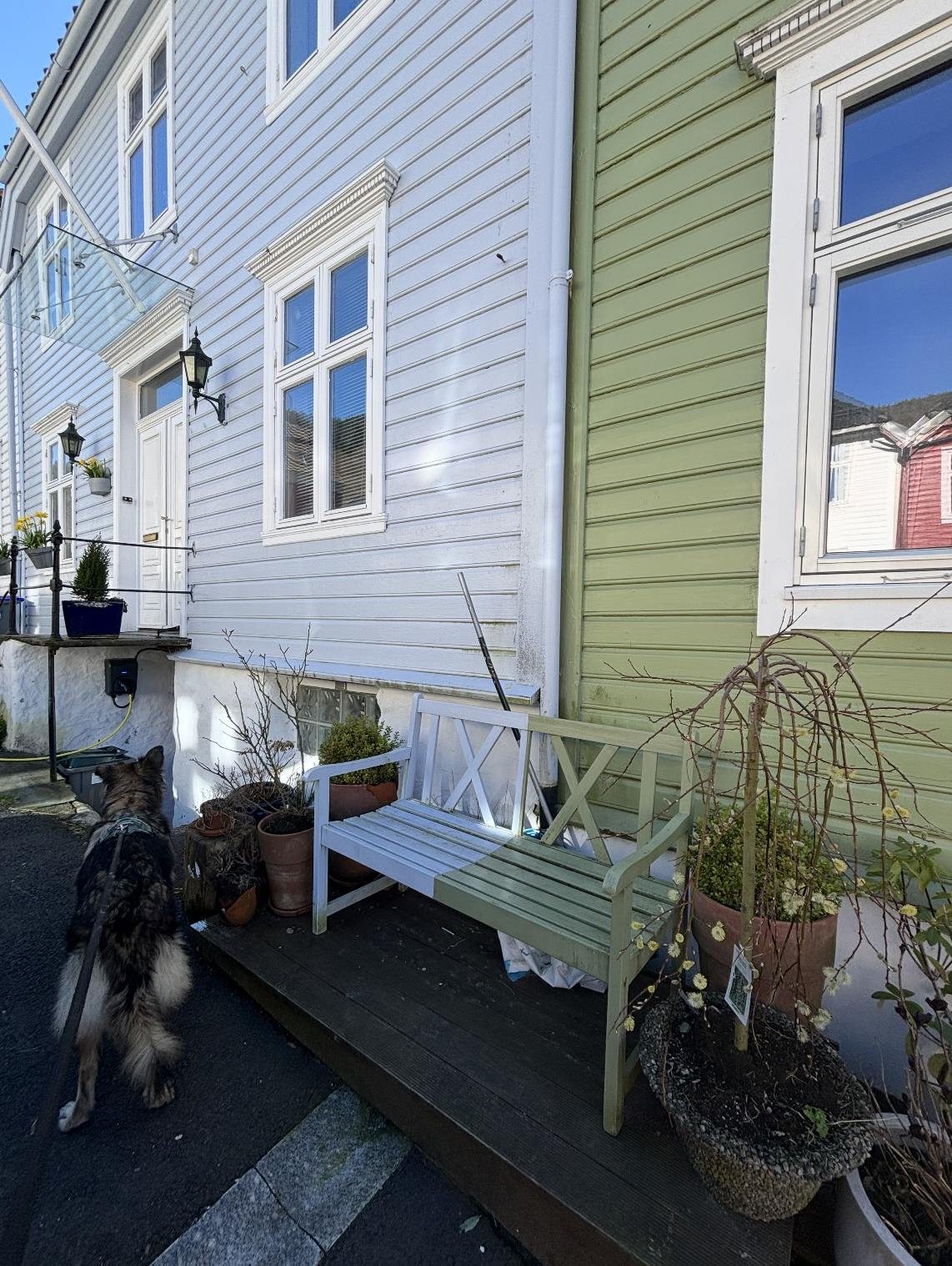 Snímek obrazovky 2026-01-08 v 10.55.18.png