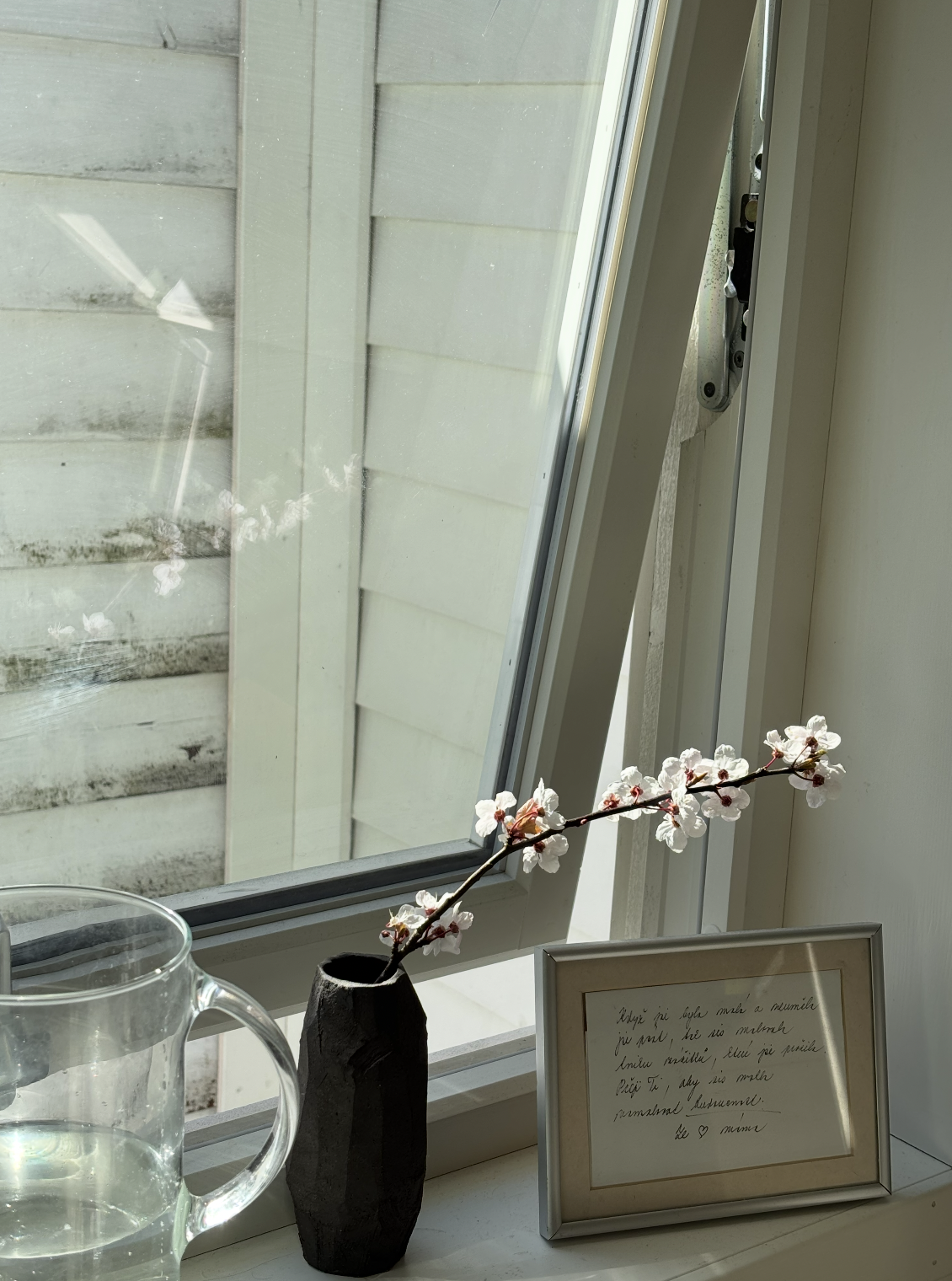 Snímek obrazovky 2026-01-08 v 10.55.48.png