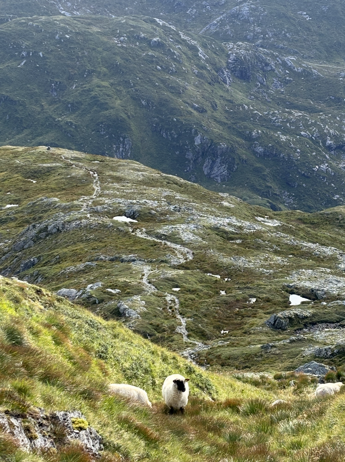 Snímek obrazovky 2026-01-08 v 21.27.50.png