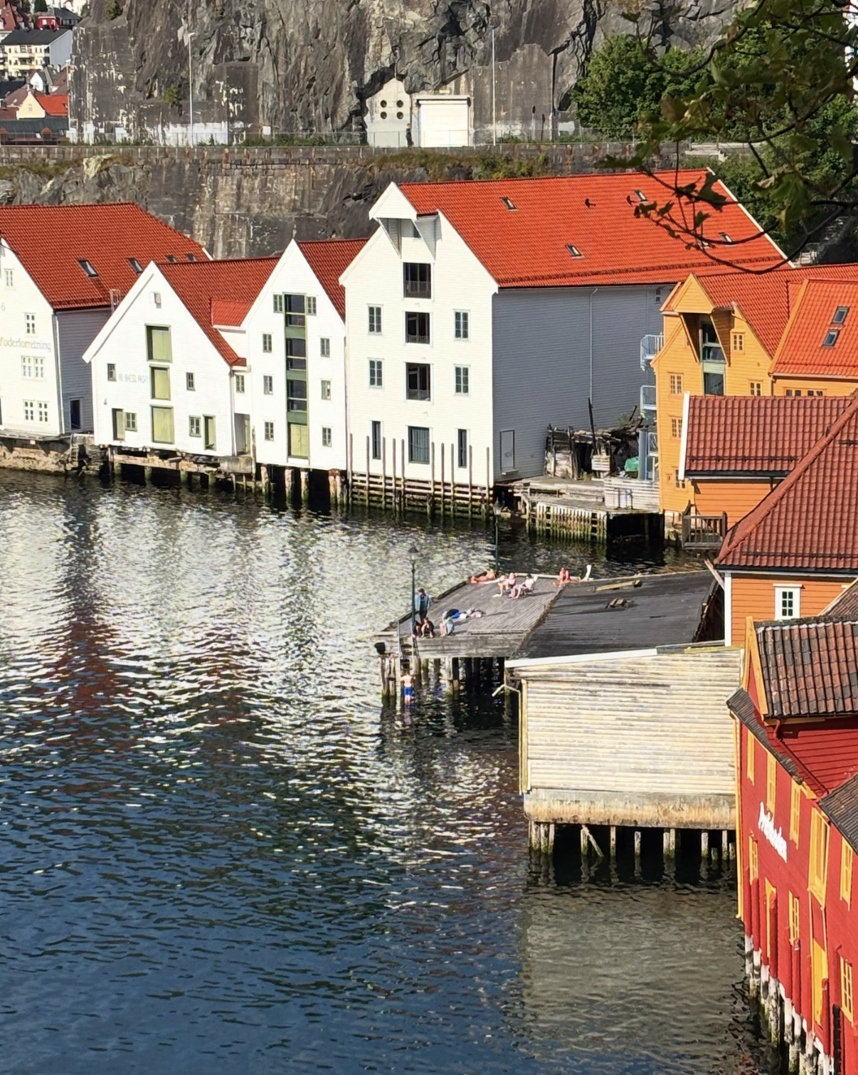 Snímek obrazovky 2026-01-08 v 21.29.48.png