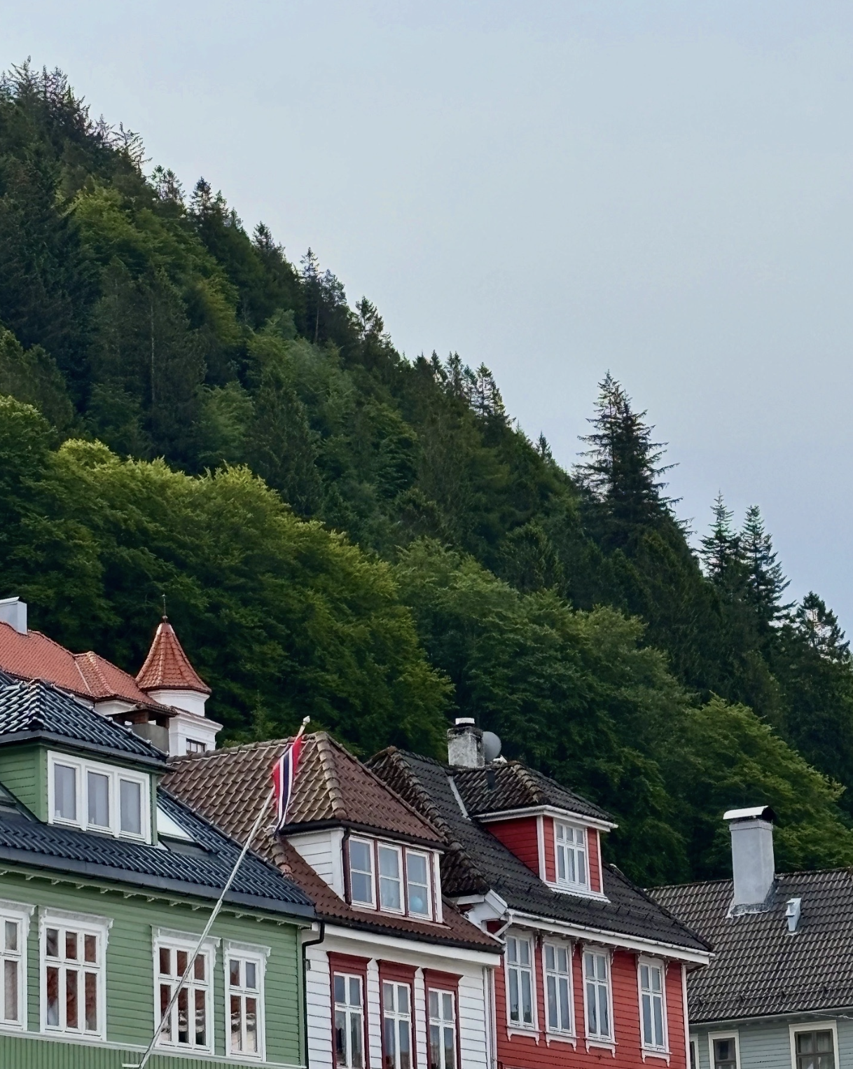 Snímek obrazovky 2026-01-08 v 21.29.54.png