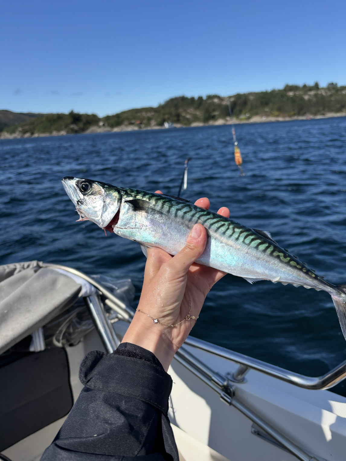 Snímek obrazovky 2026-01-08 v 21.36.33.png