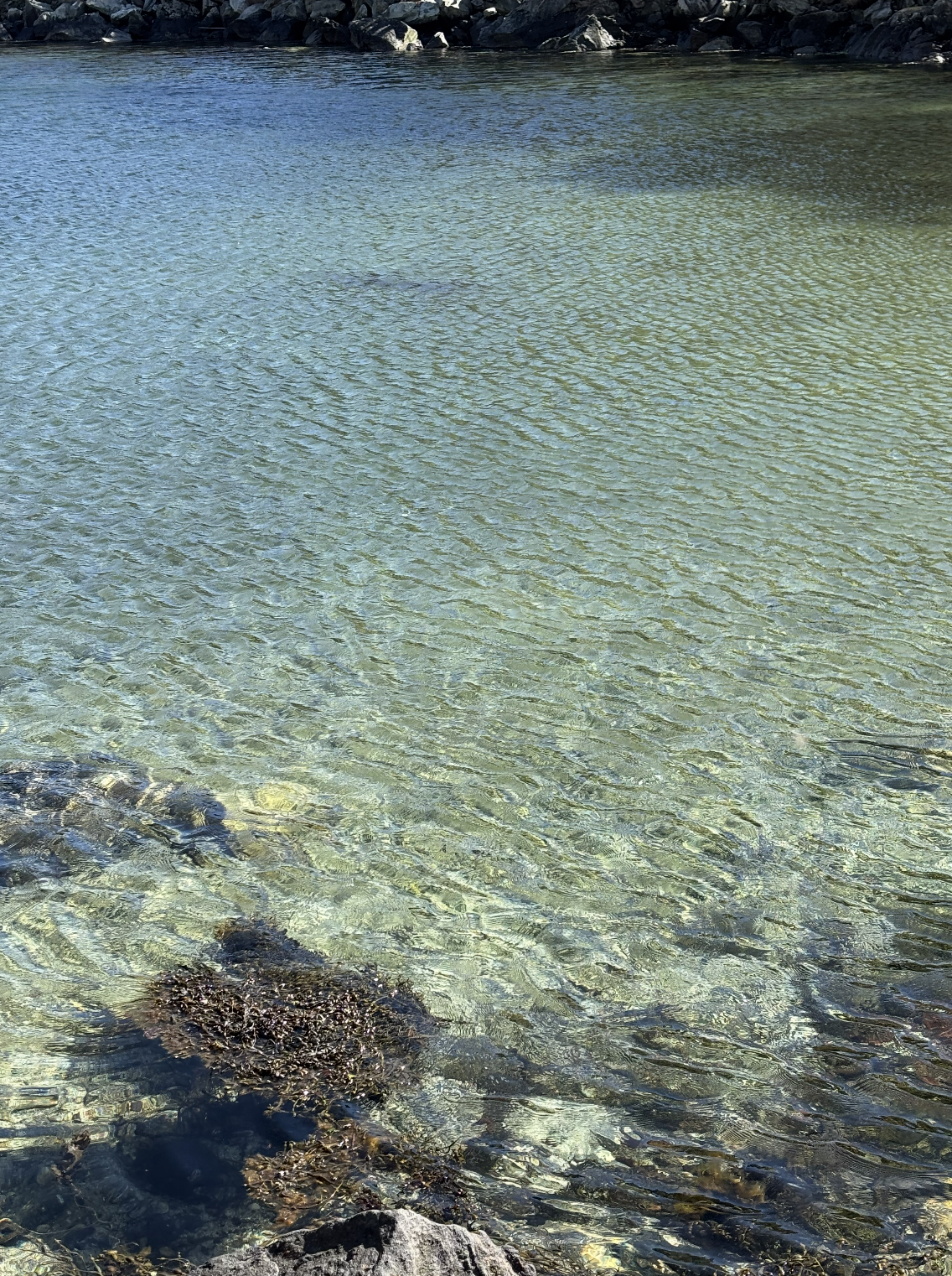 Snímek obrazovky 2026-01-08 v 21.59.44.png