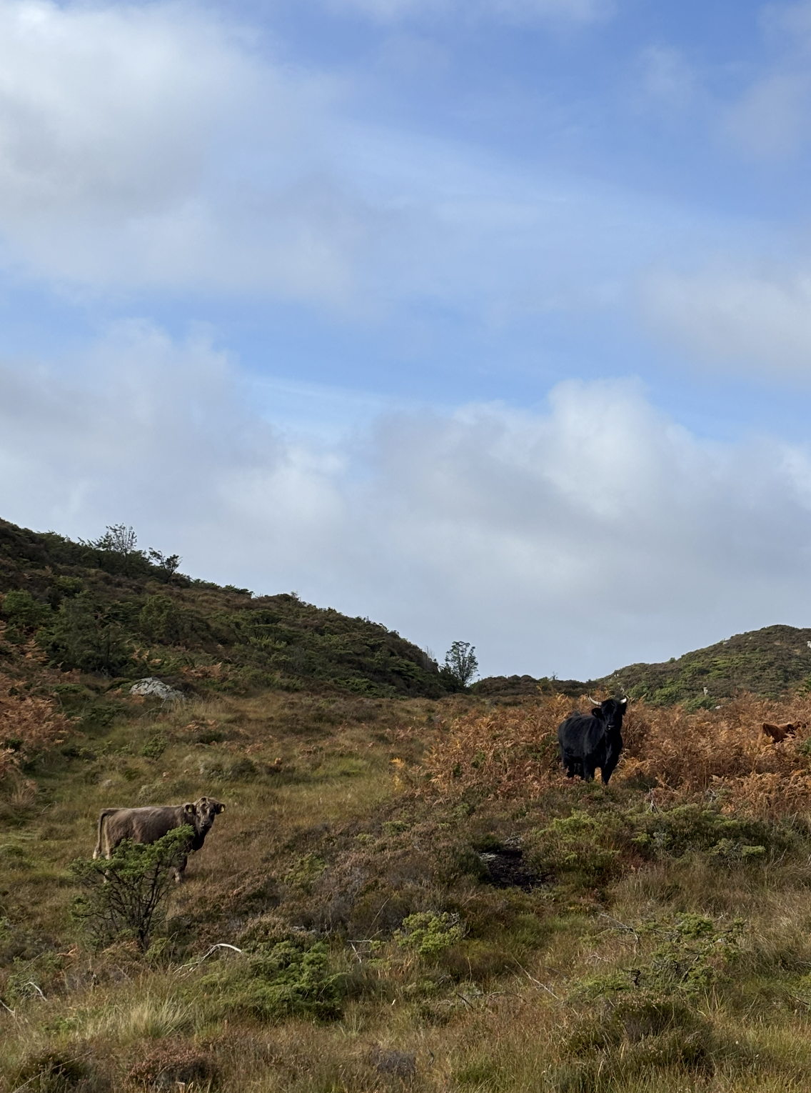 Snímek obrazovky 2026-01-09 v 17.28.53.png