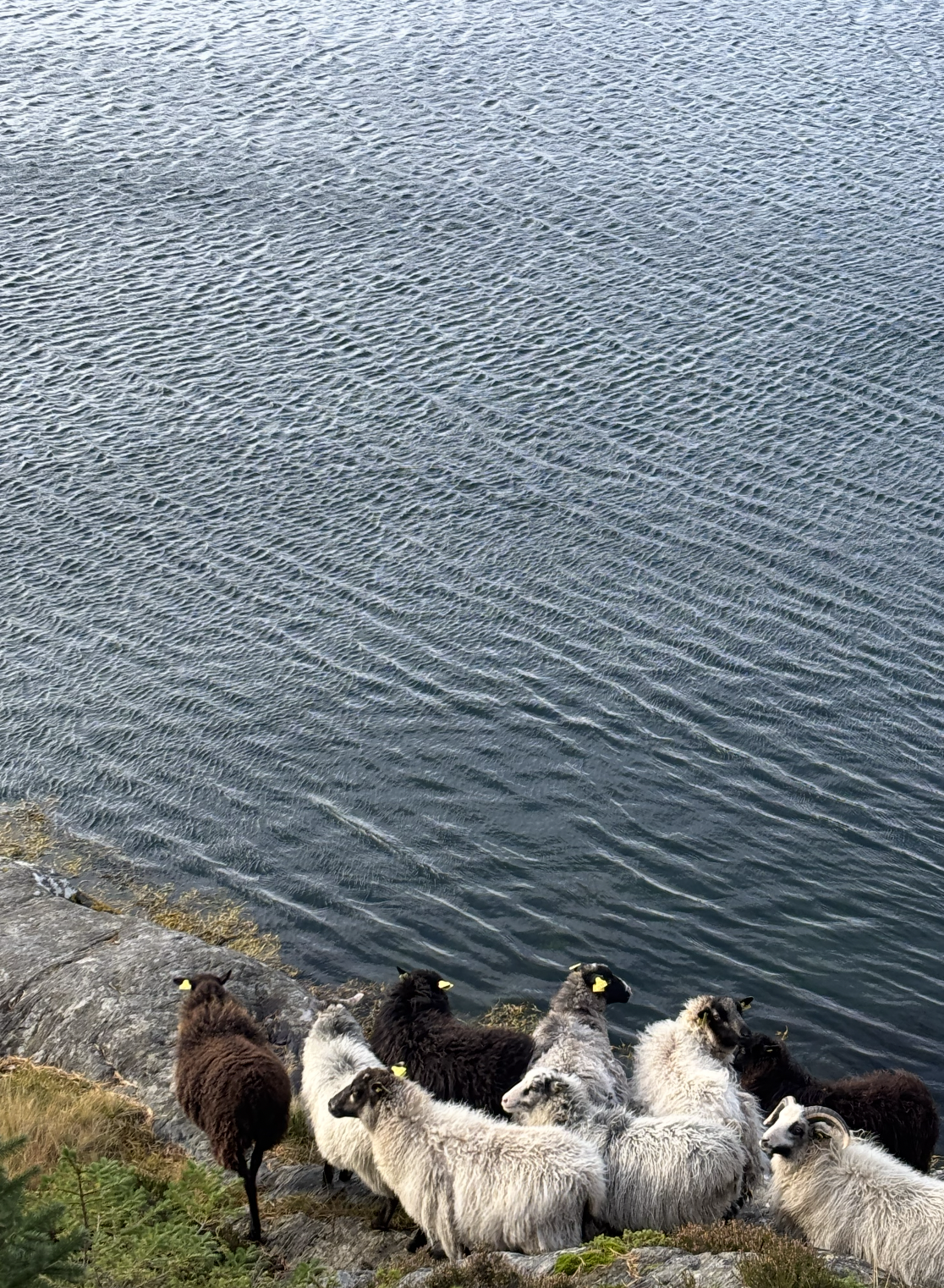 Snímek obrazovky 2026-01-09 v 17.28.58.png