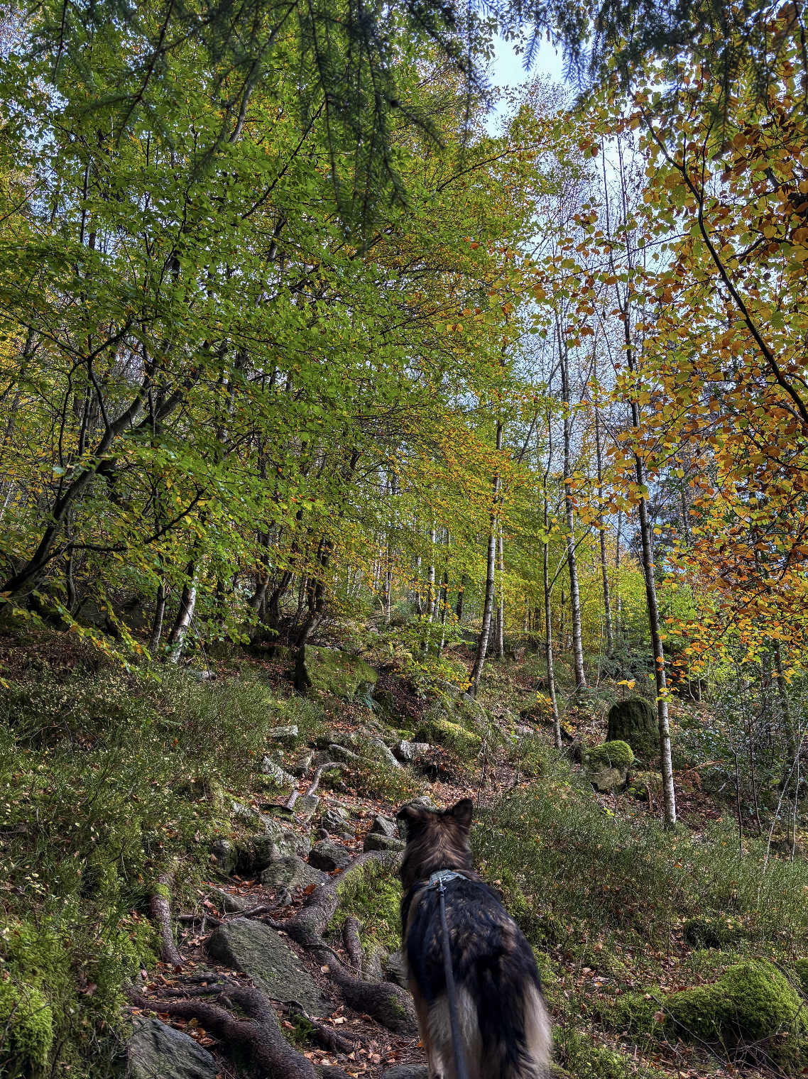 Snímek obrazovky 2026-01-09 v 17.30.32.png