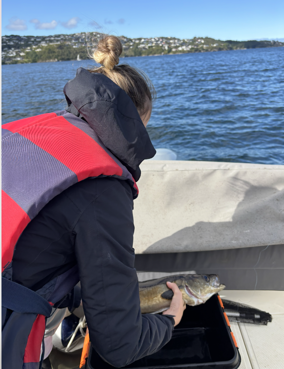 Norsko: 1 rok a čtvero ročních období v Bergenu