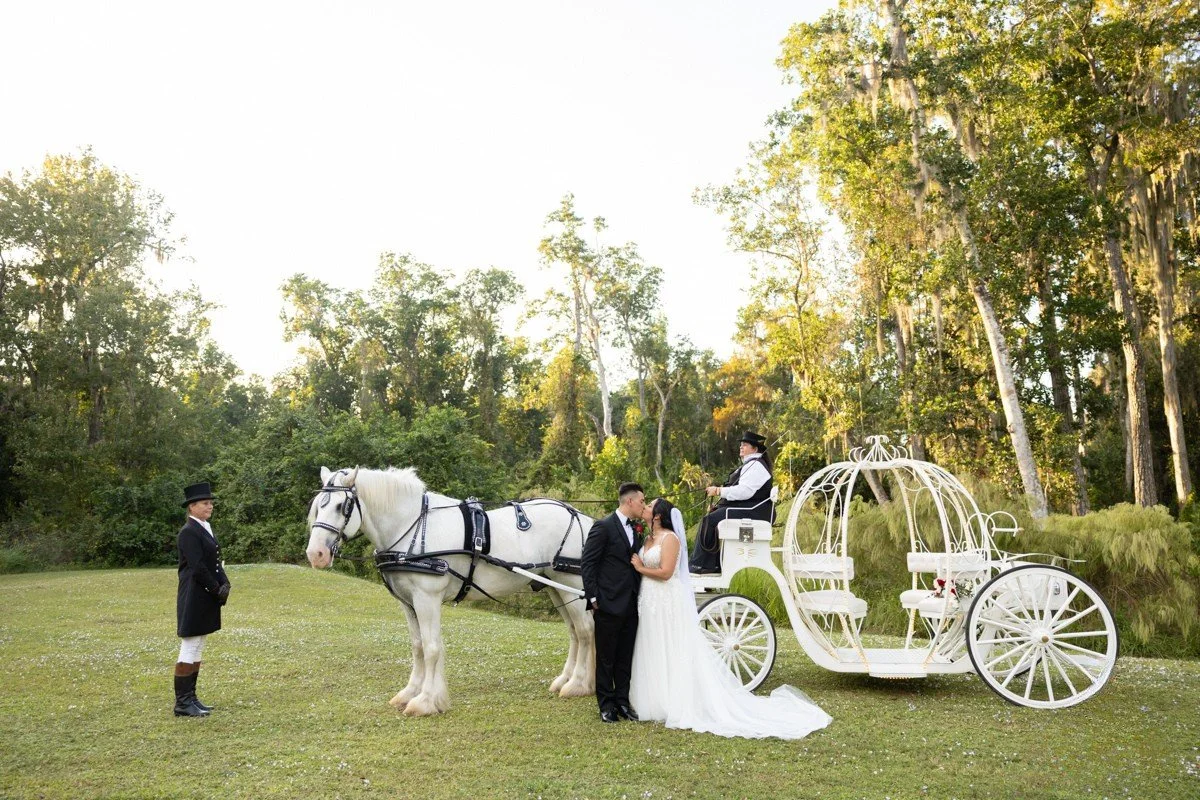 The Venue at Gentry Pines - St. Cloud