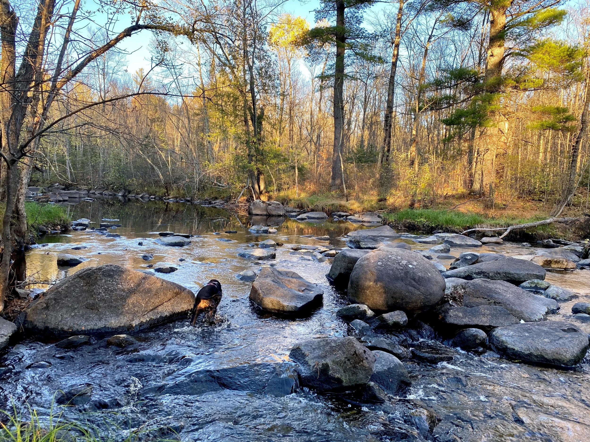 Danelle - pic 8 - Careers.jpg